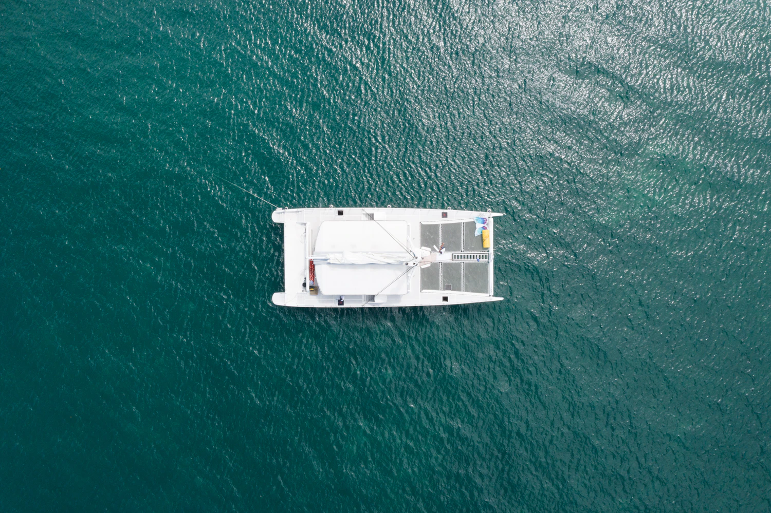 See the Coast by Boat