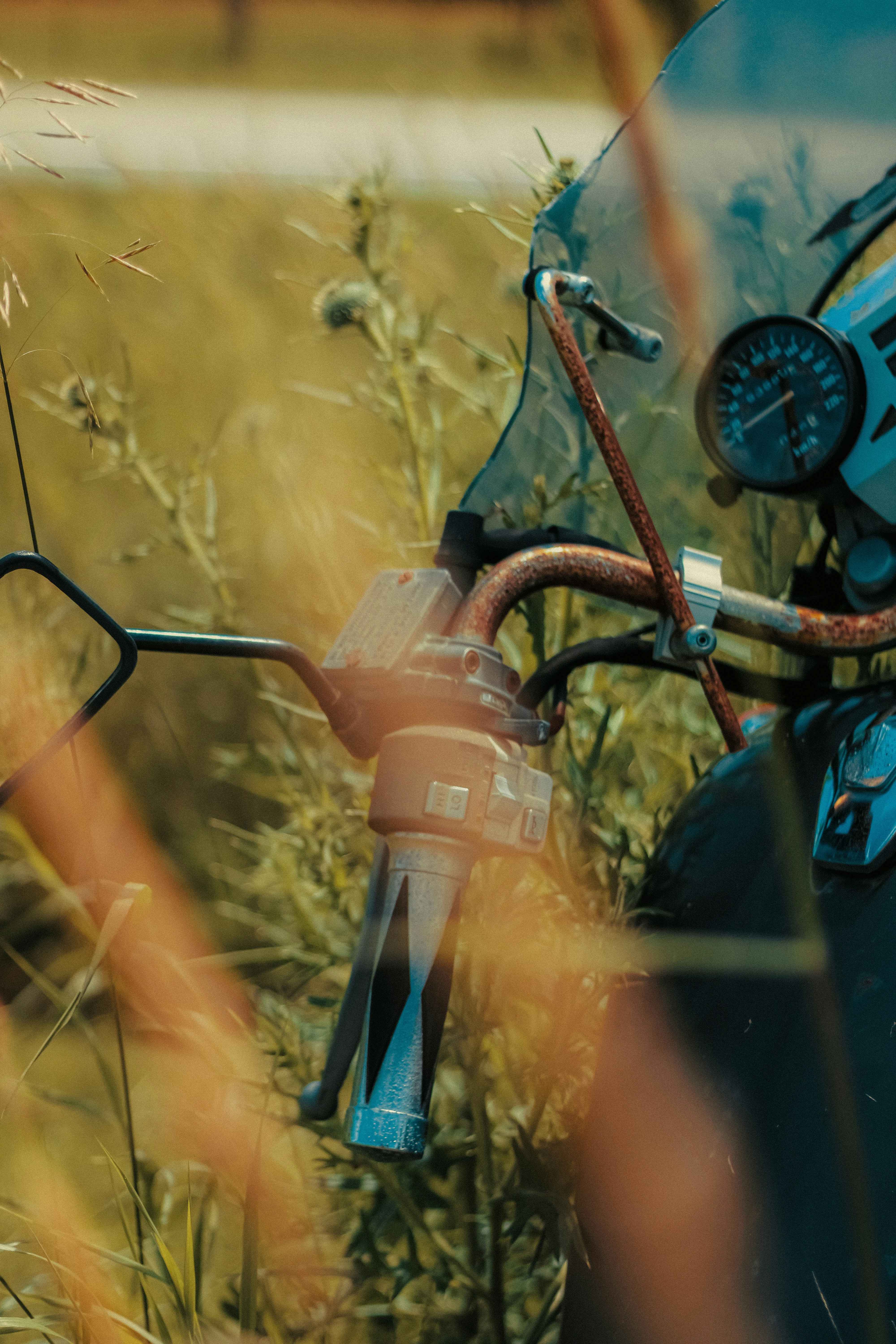 Photo by linusbelanger