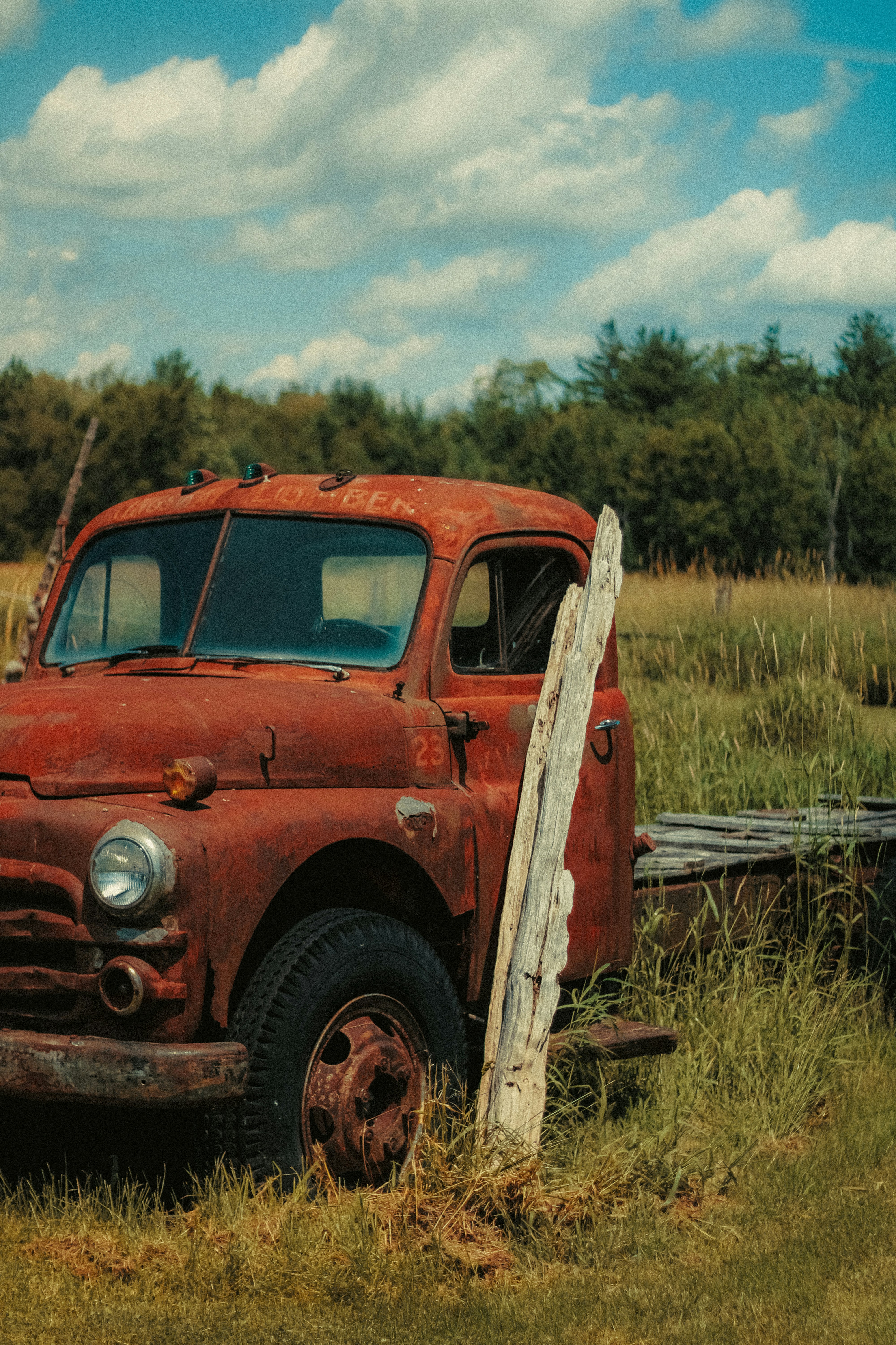 Photo by linusbelanger