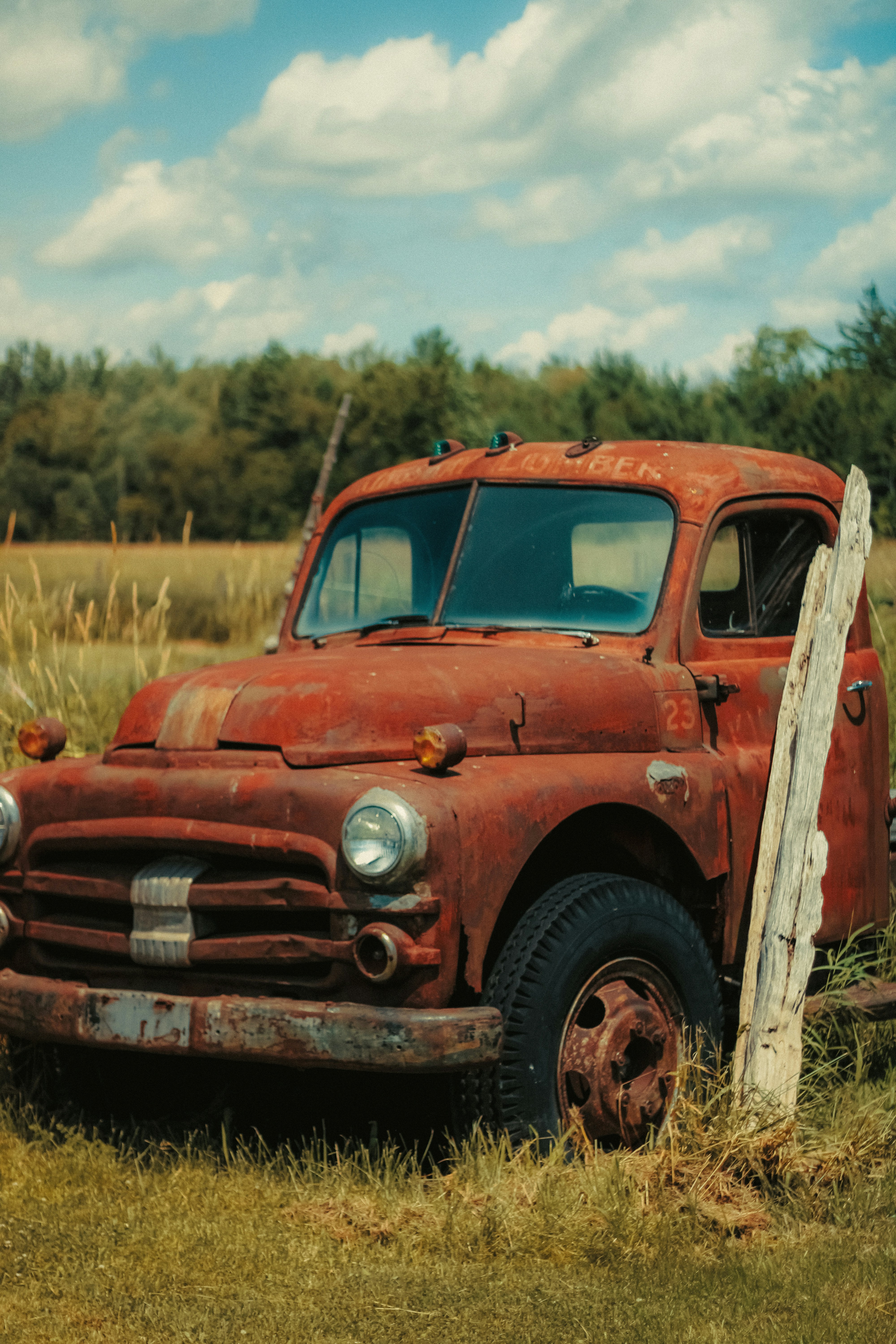 Photo by linusbelanger