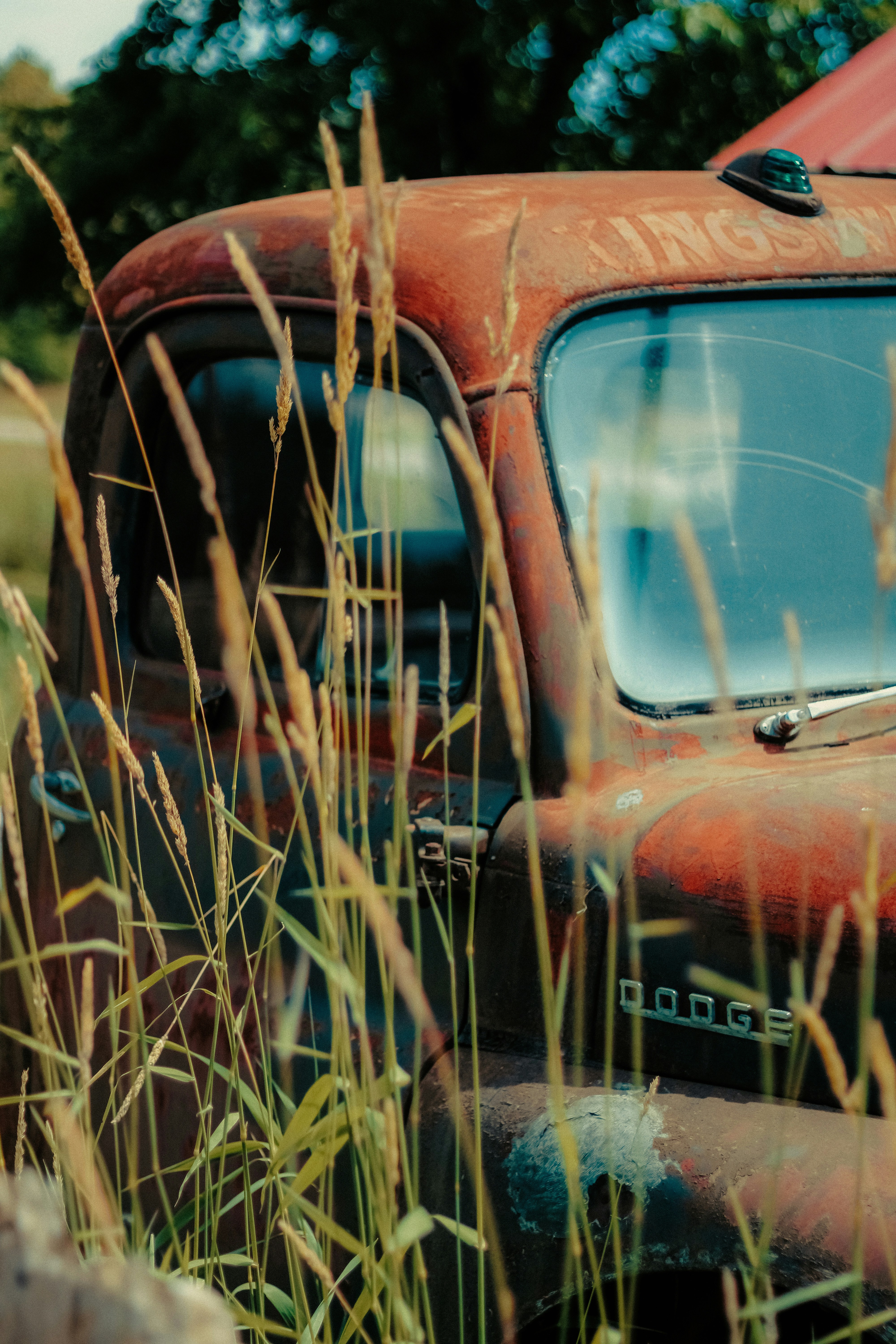 Photo by linusbelanger