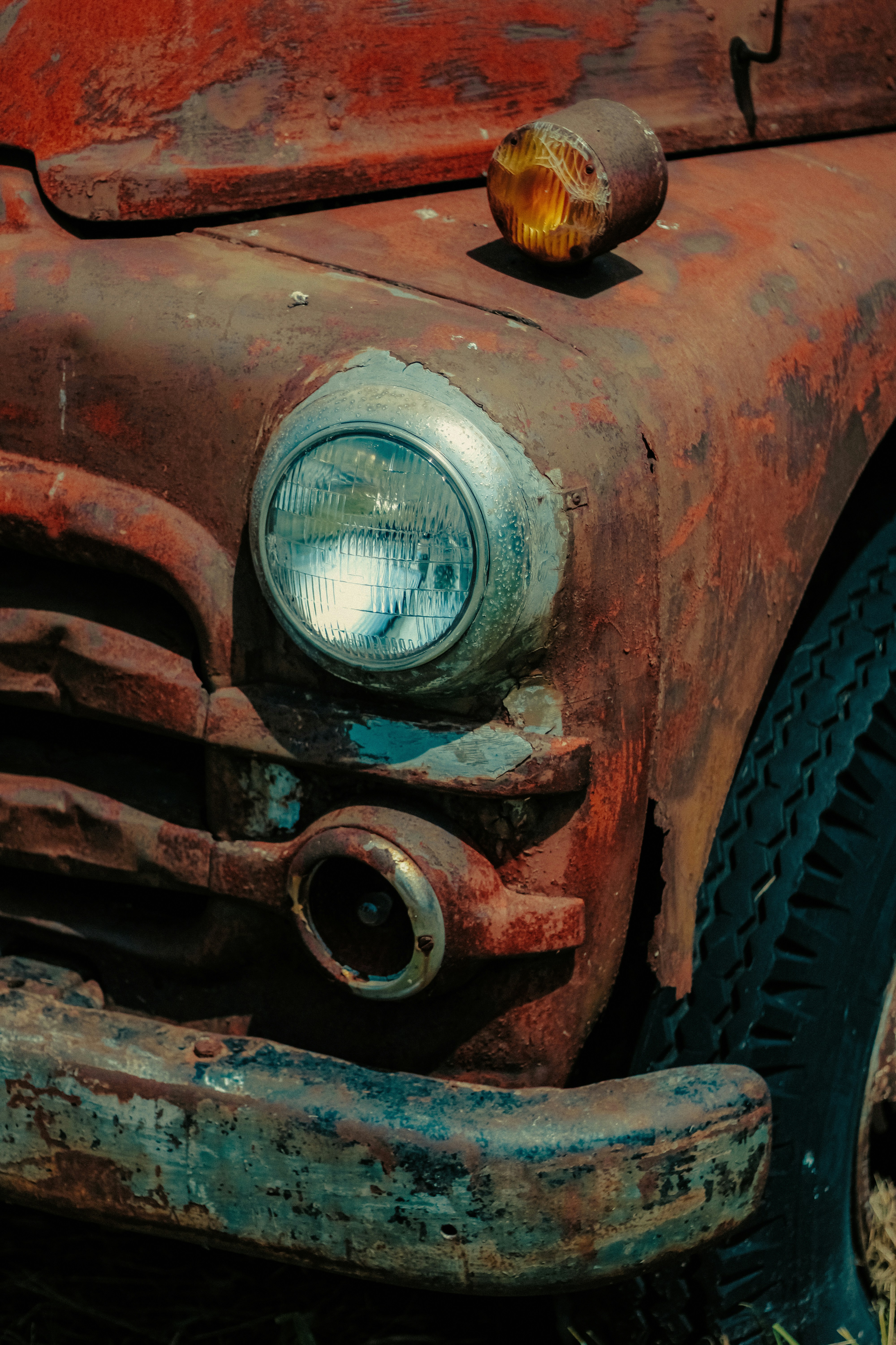 Photo by linusbelanger