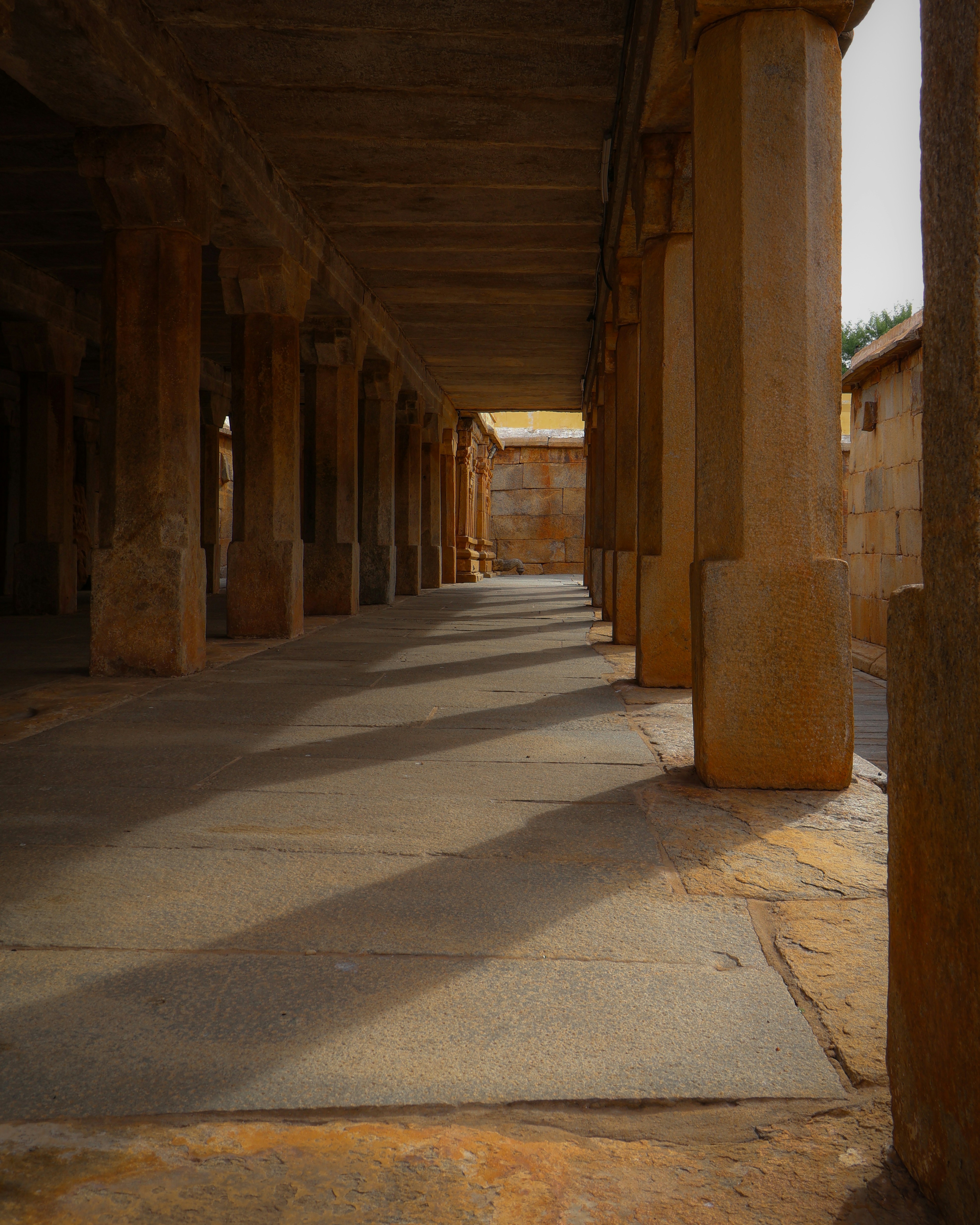 Photo by vedanthravi