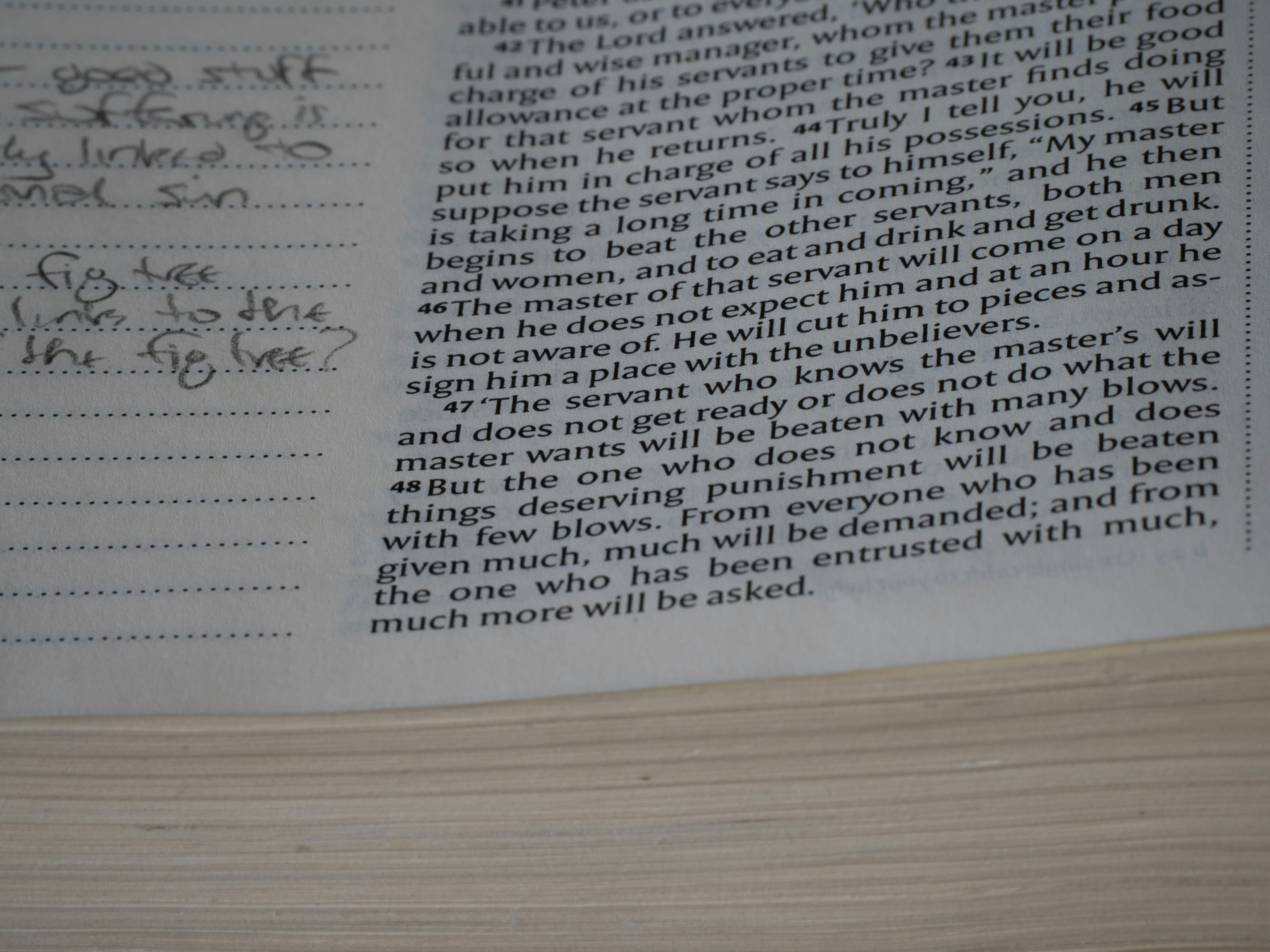 Photo by brett_jordan