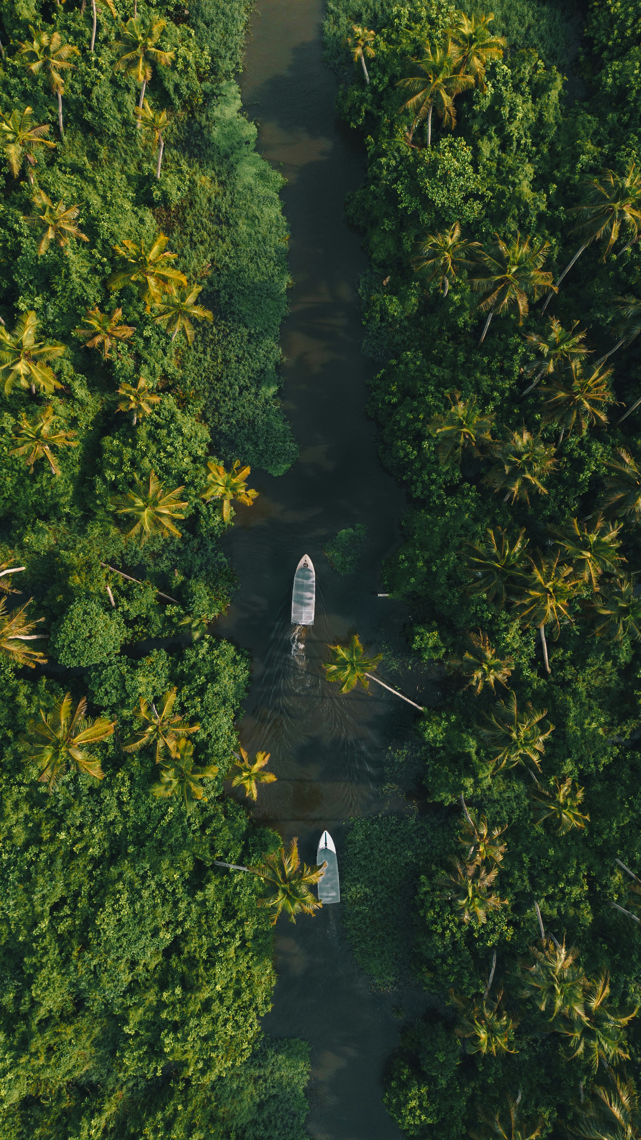 Photo by swastikarora