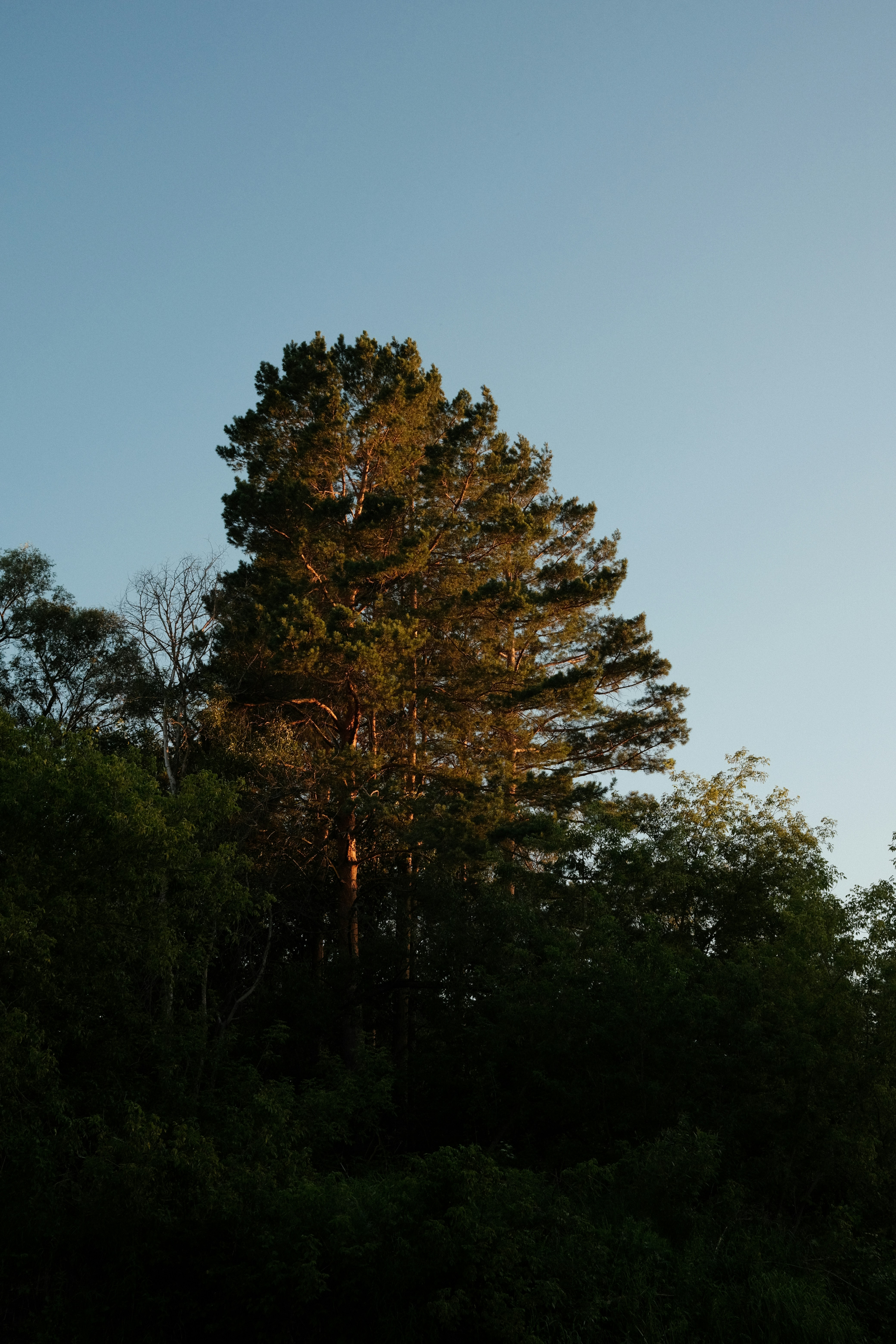 Photo by yuliya_grch