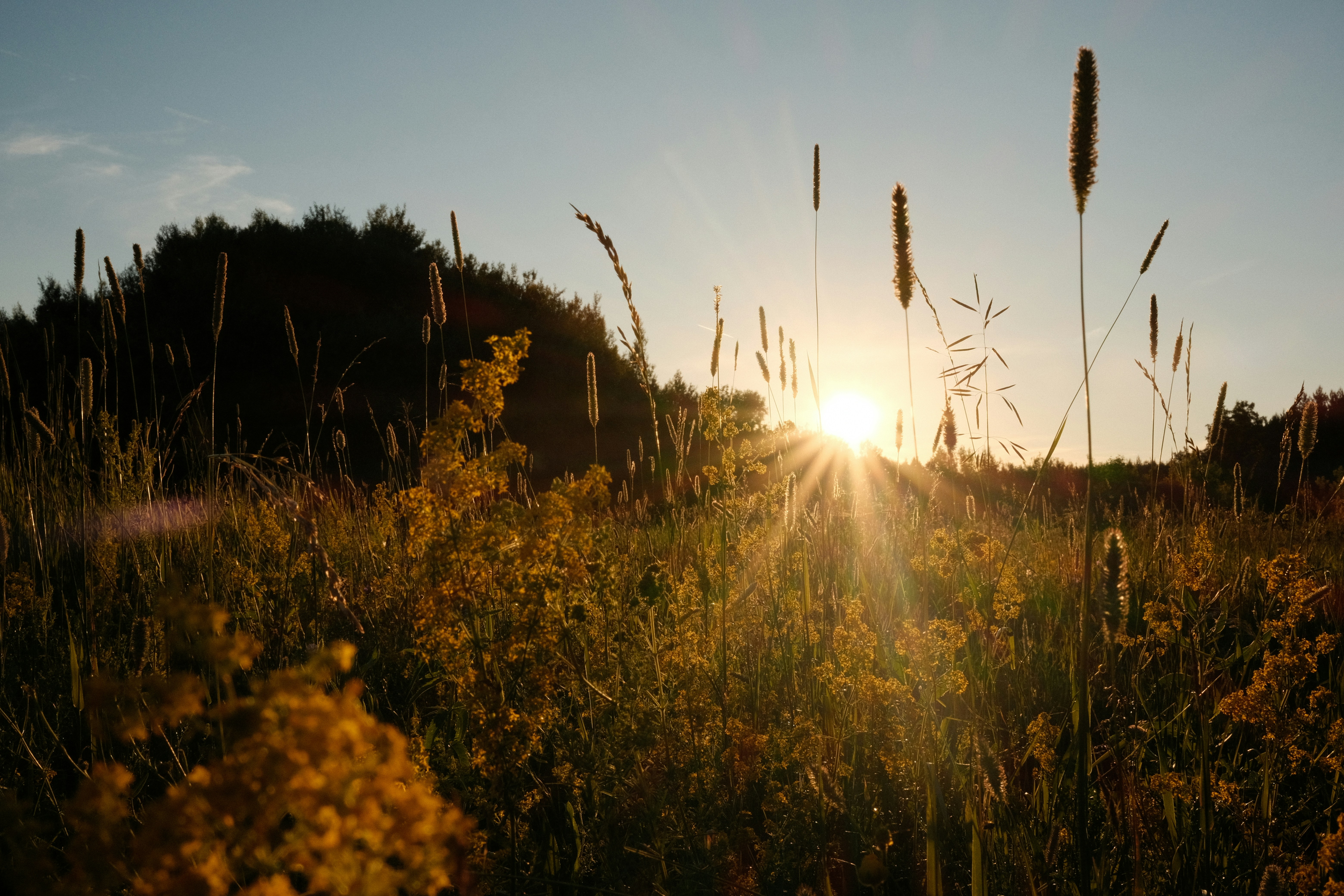 Photo by yuliya_grch