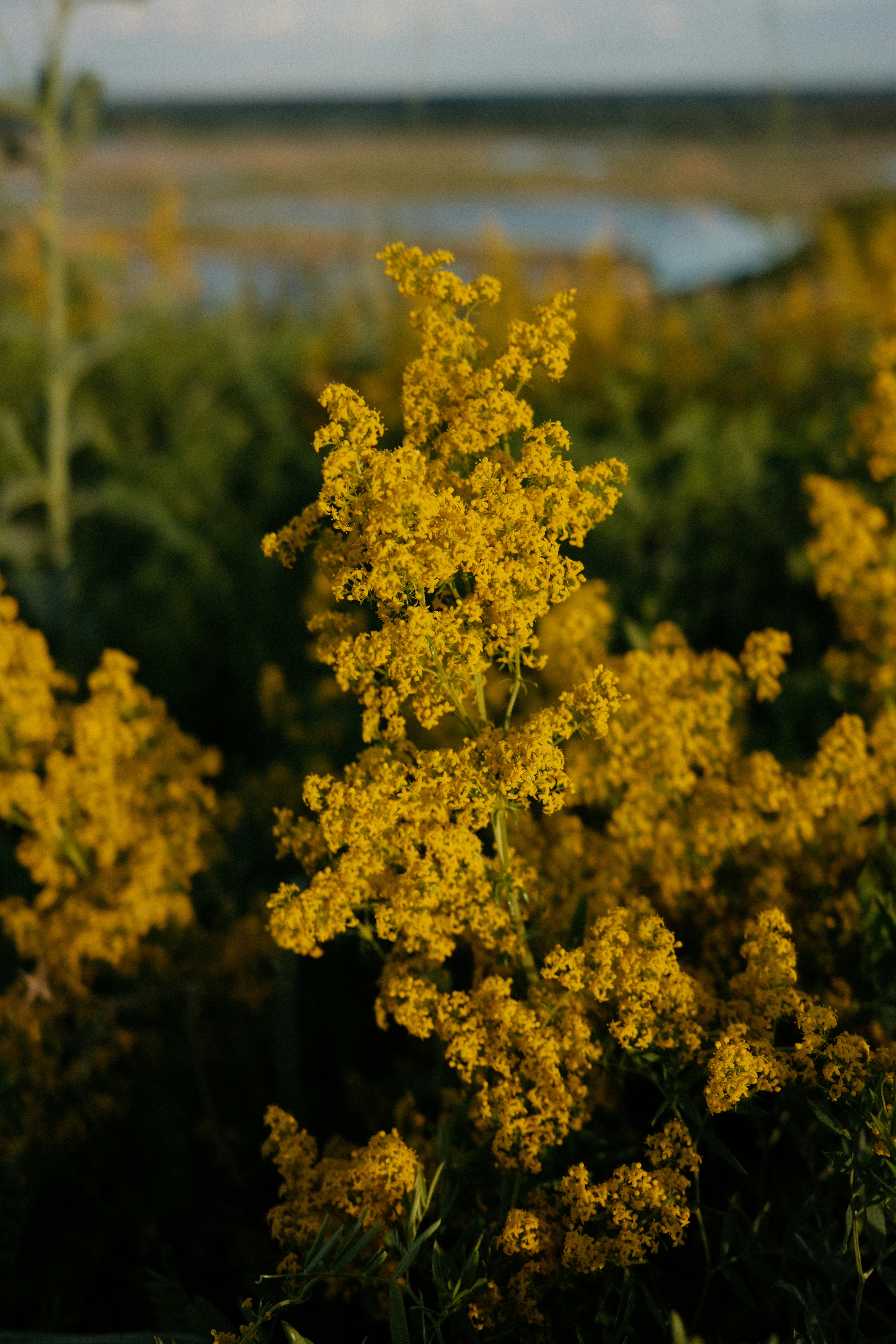 Photo by yuliya_grch