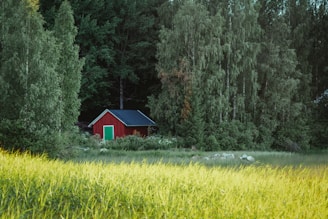 A red house in a field of tall grass