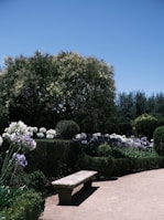 A stone bench sitting in the middle of a garden