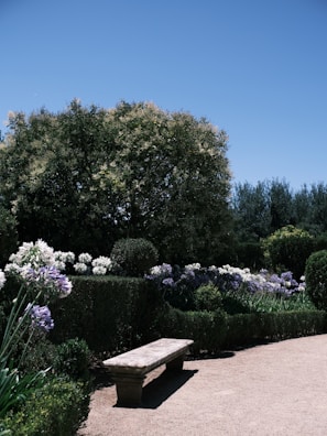 A stone bench sitting in the middle of a garden