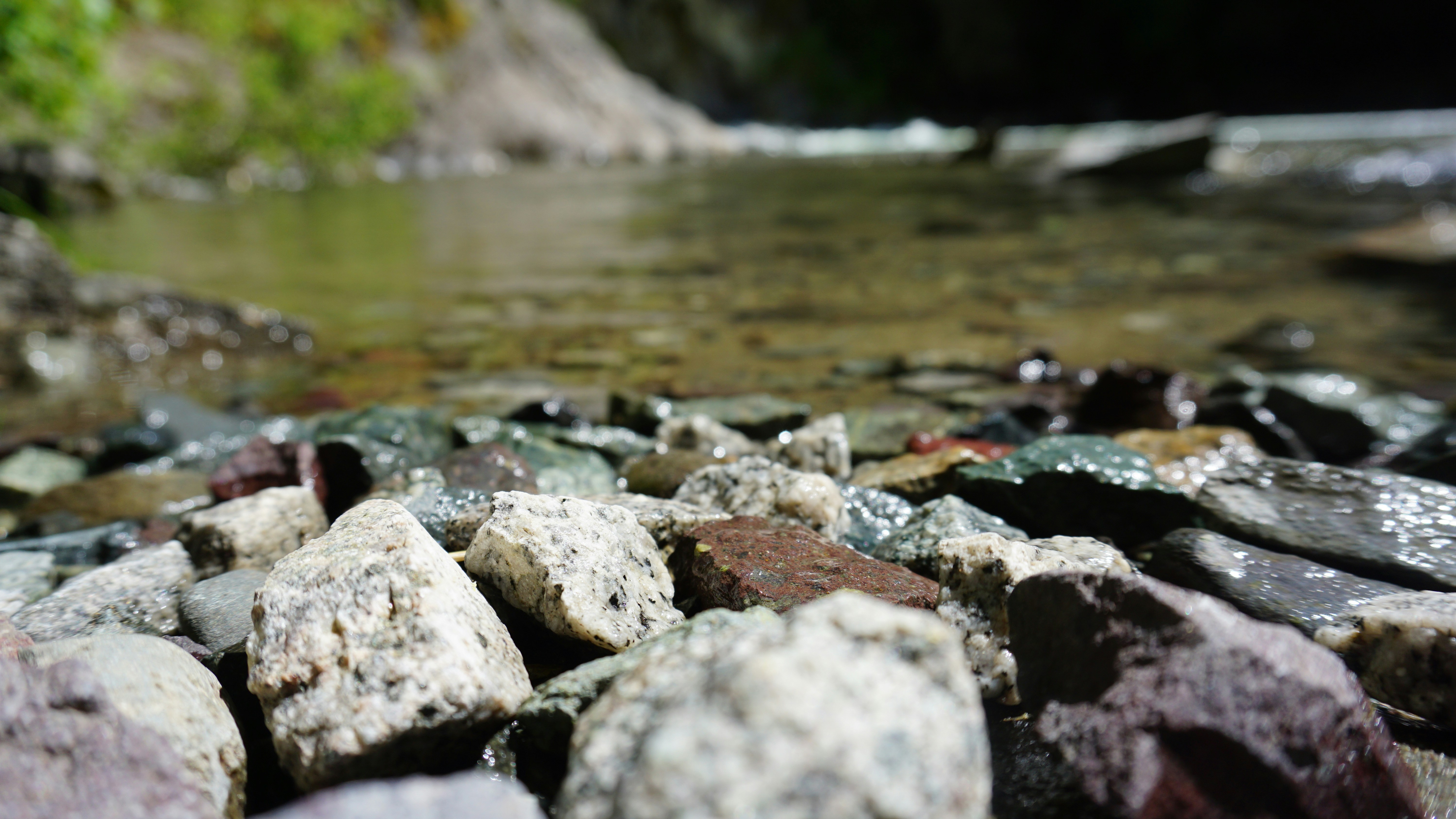 Photo by meredith2020