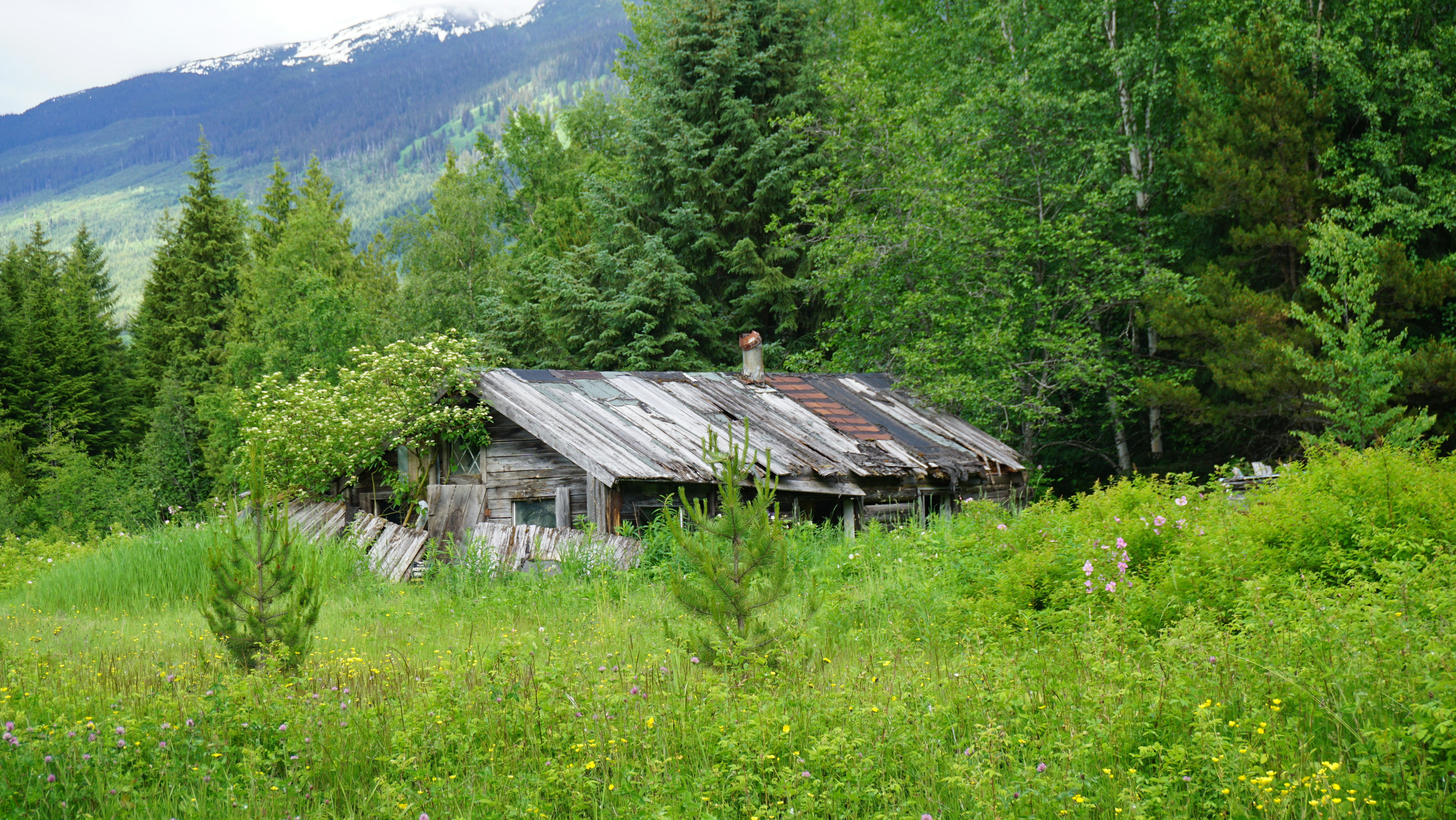 Eine alte Hütte mitten im Wald Foto – Kostenloses Bild zum Thema Gebäude  auf Unsplash, image size:3000x1688
