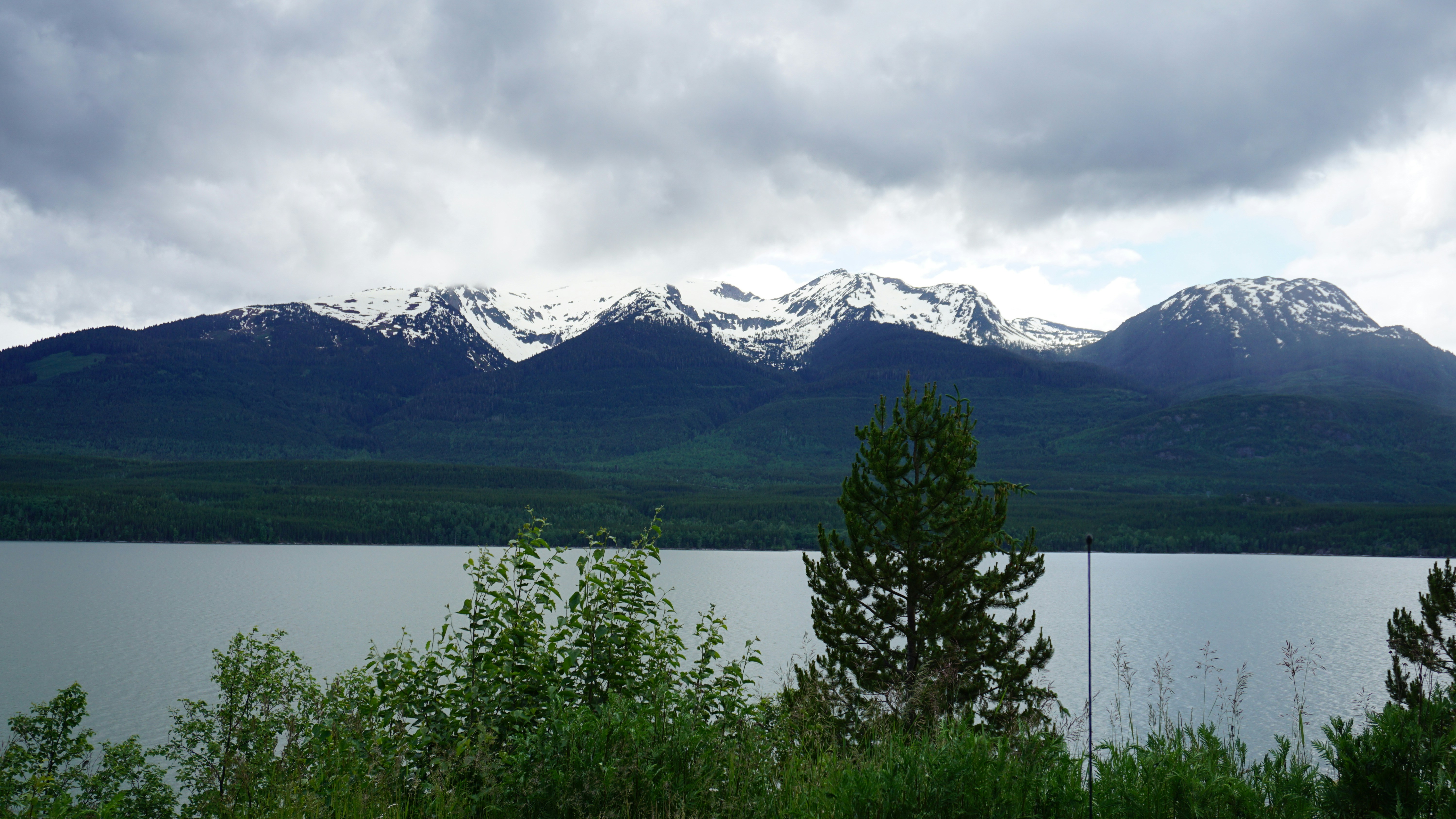 Photo by meredith2020