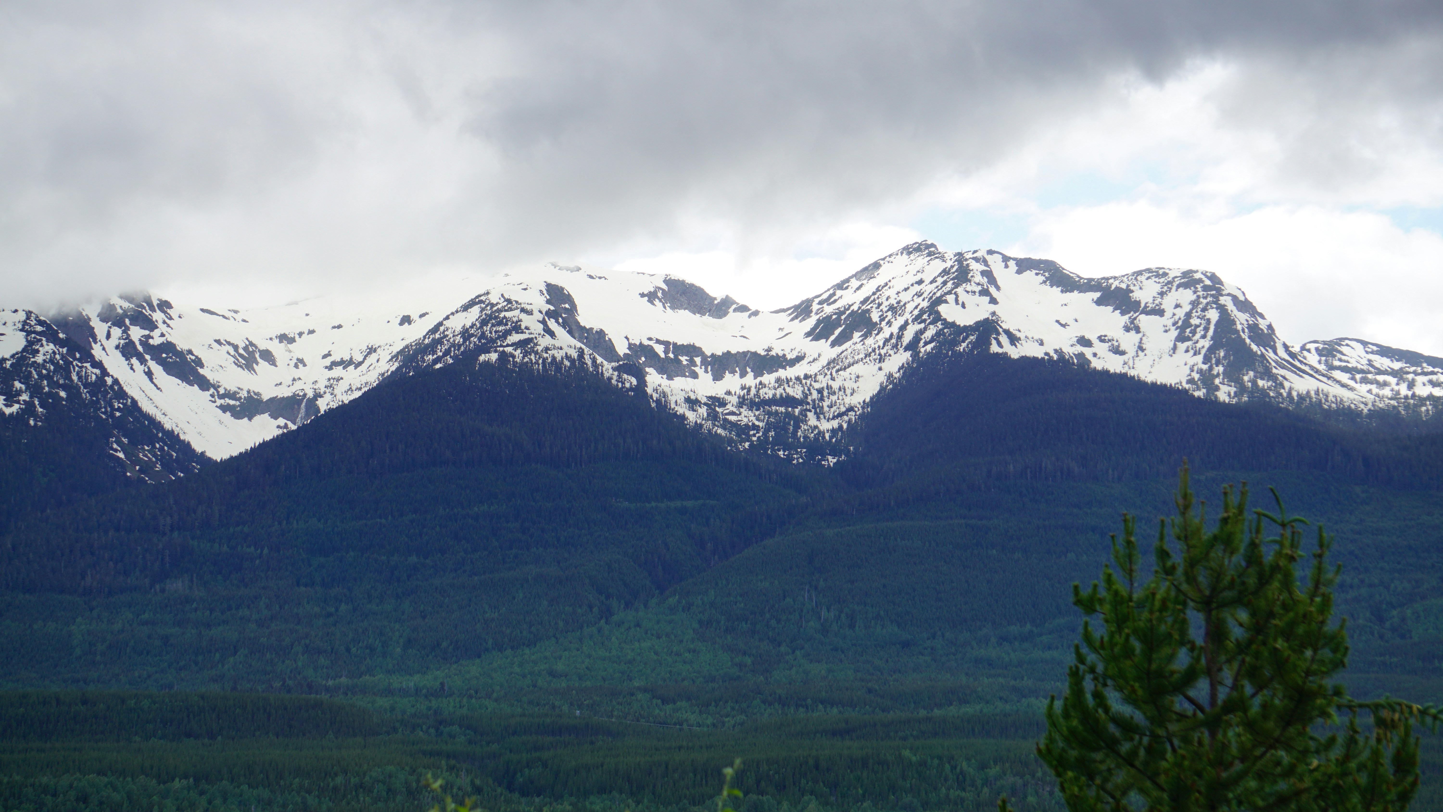 Photo by meredith2020