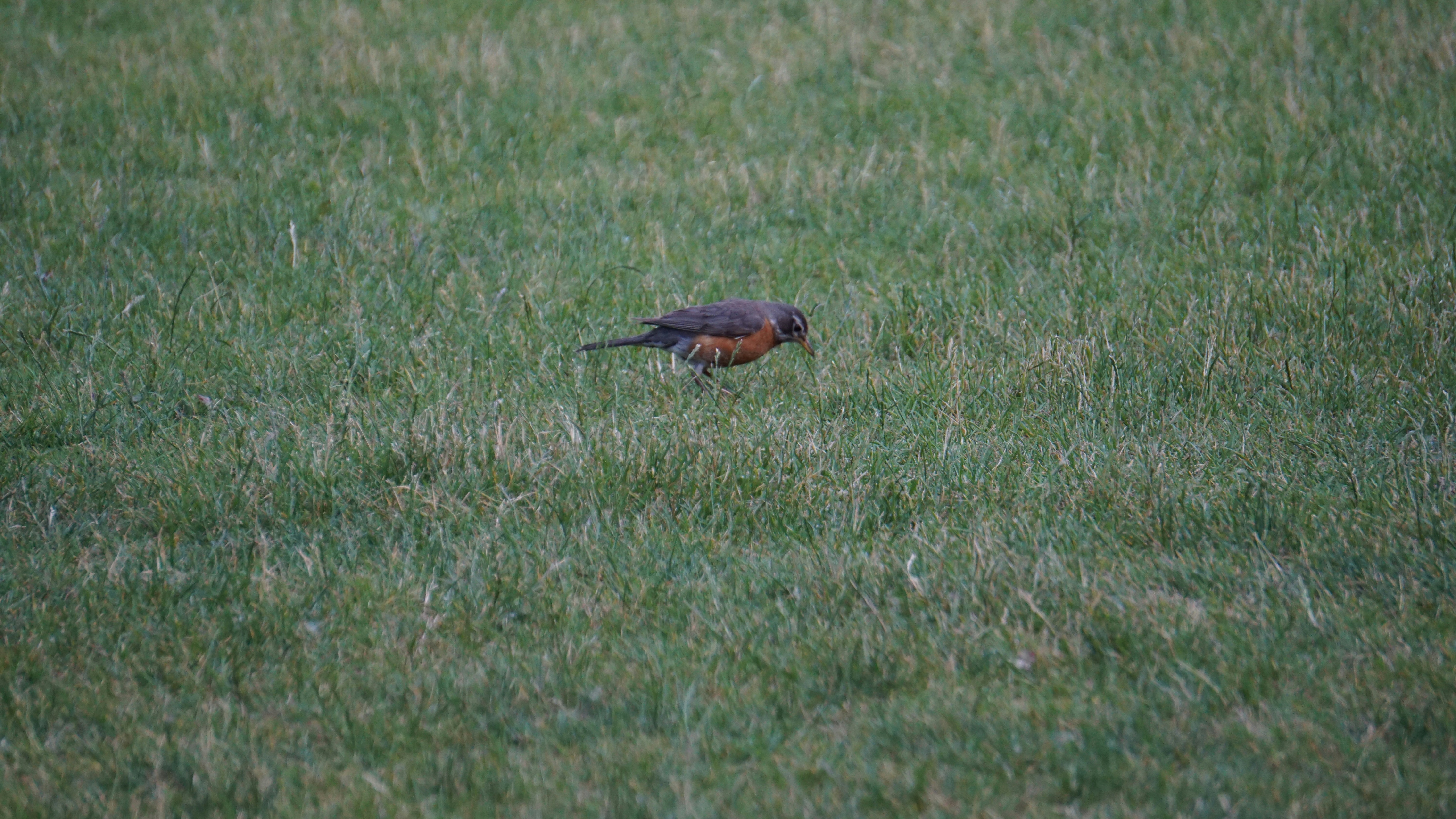 Photo by meredith2020