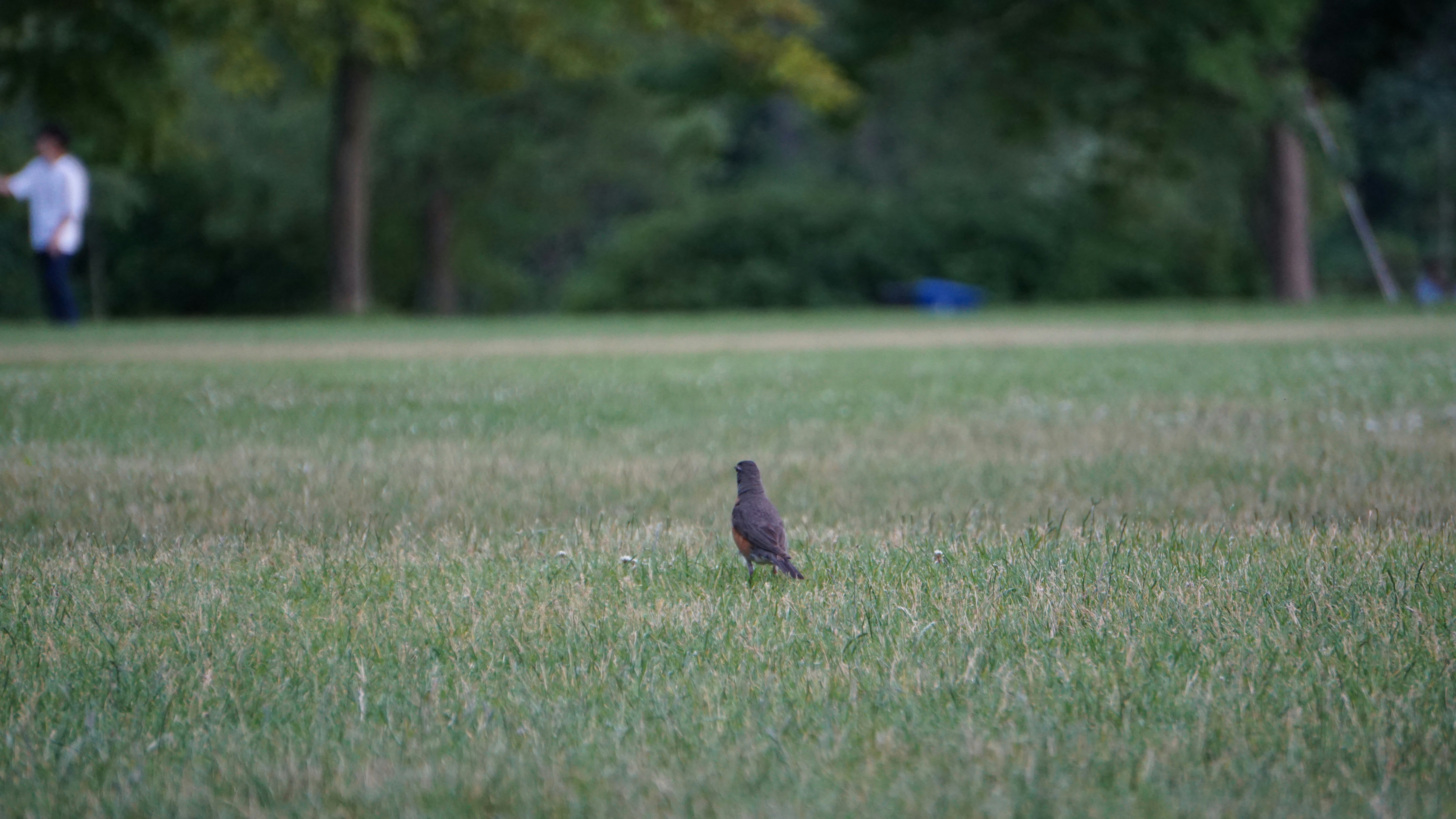 Photo by meredith2020