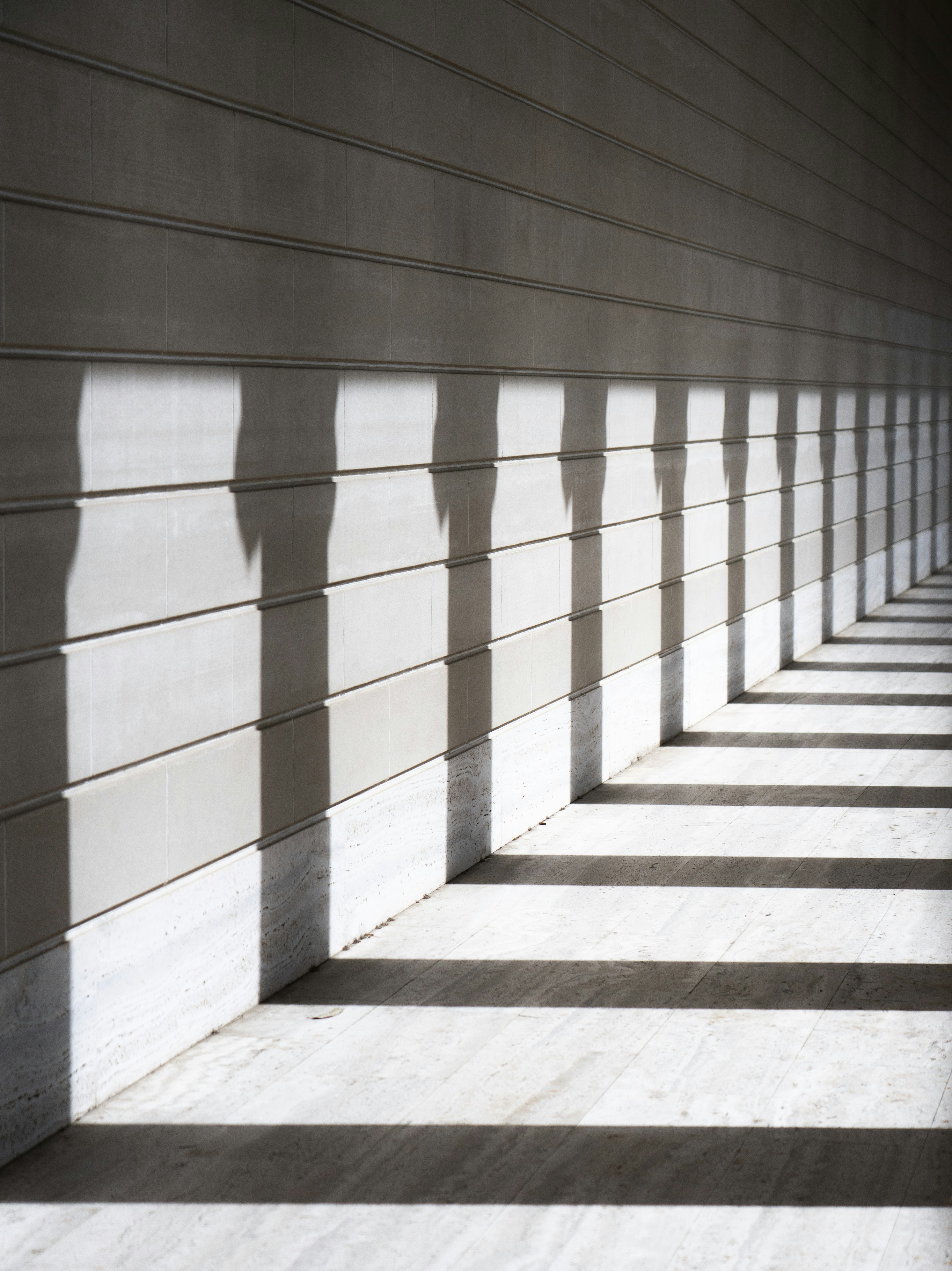 Photo by juniperphoton