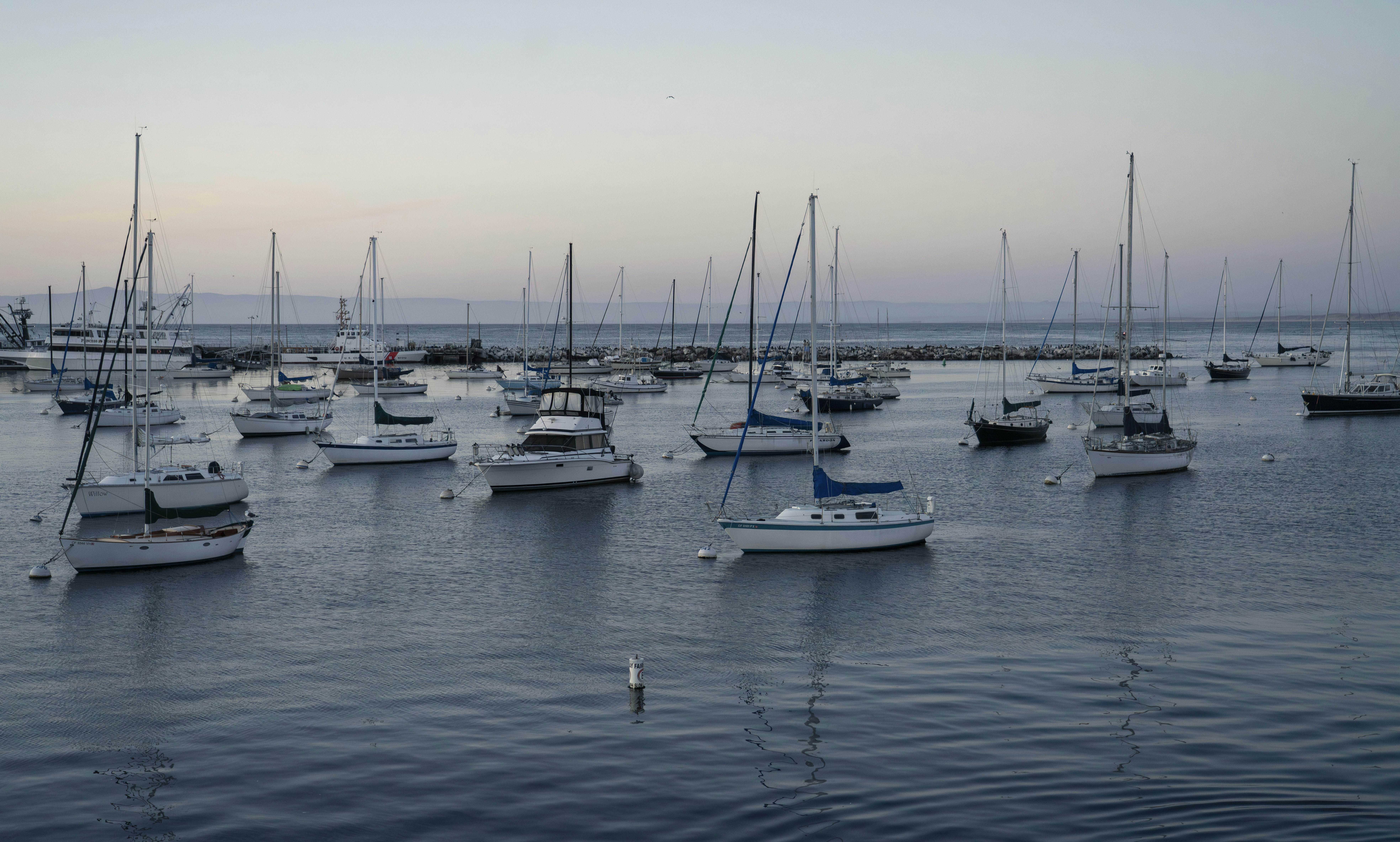 Photo by juniperphoton