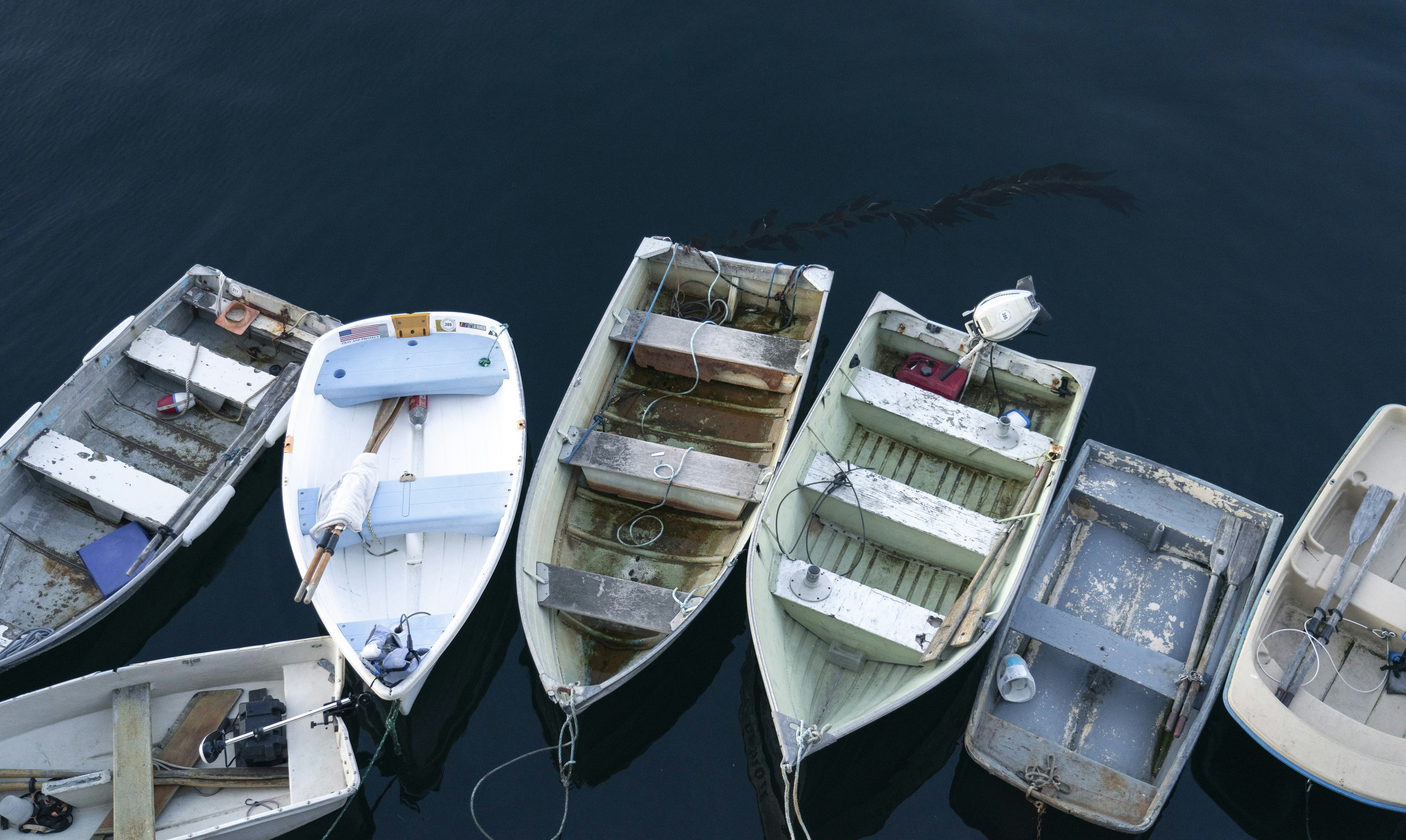 Photo by juniperphoton