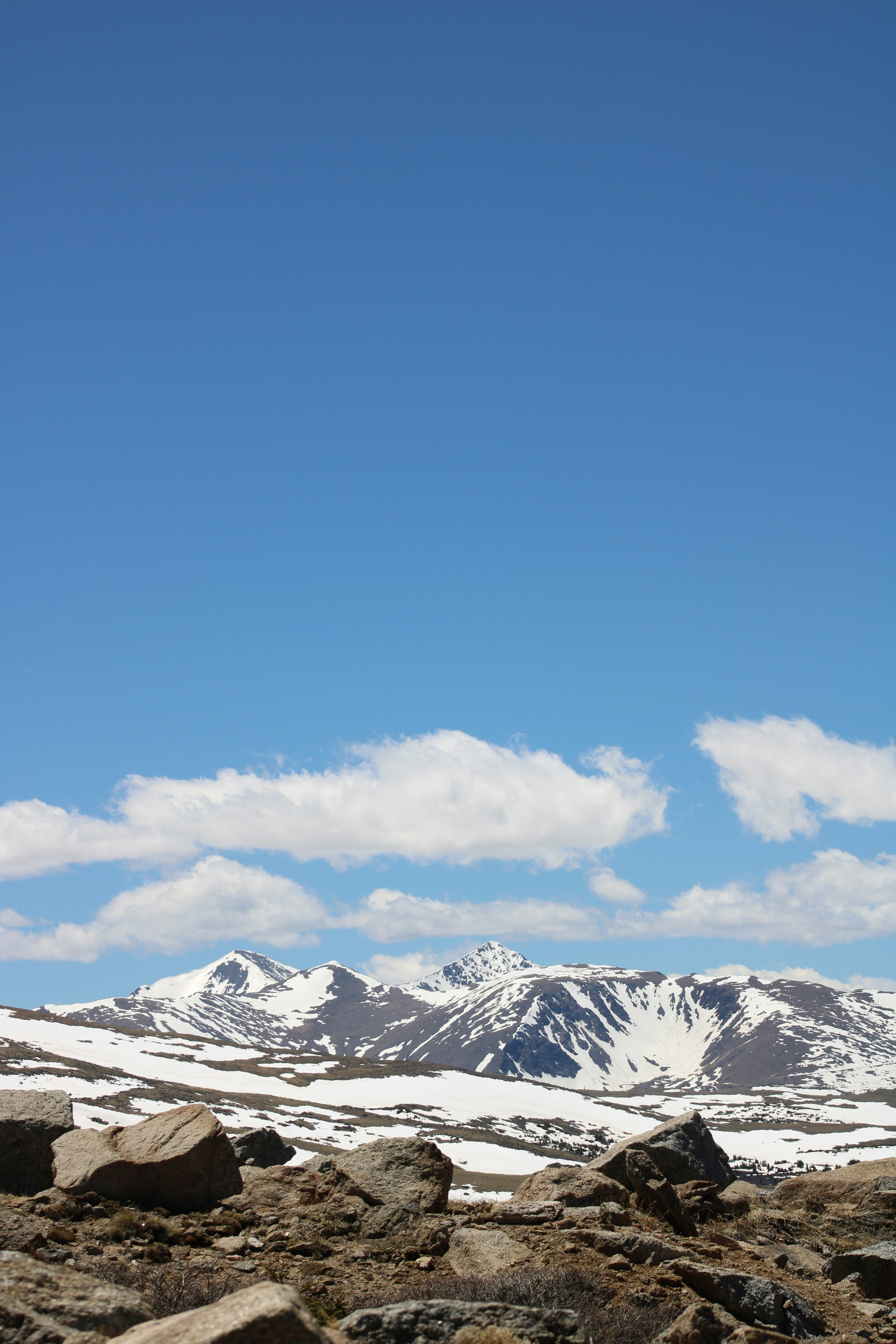 Photo by corinn_suess10