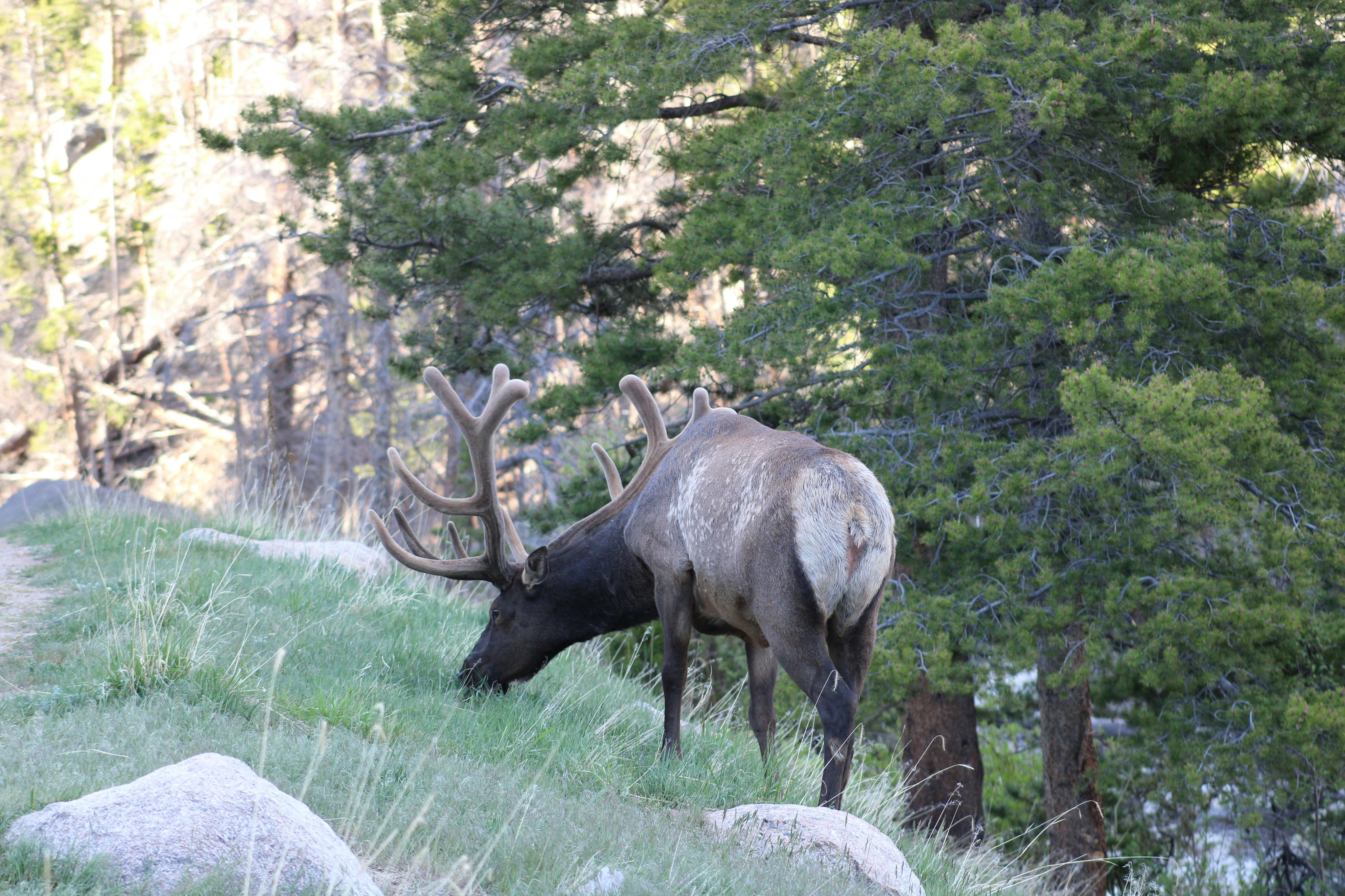 Photo by corinn_suess10