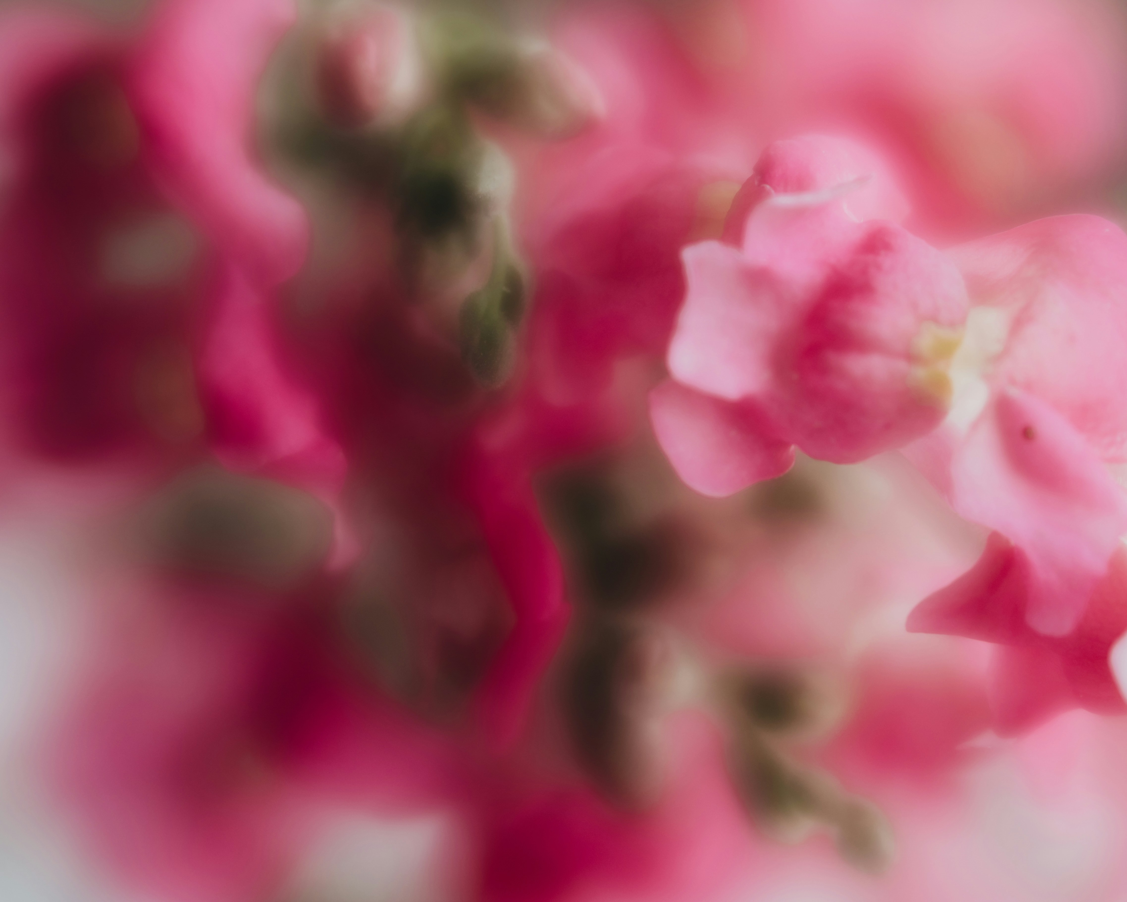 Photo by sixteenmilesout