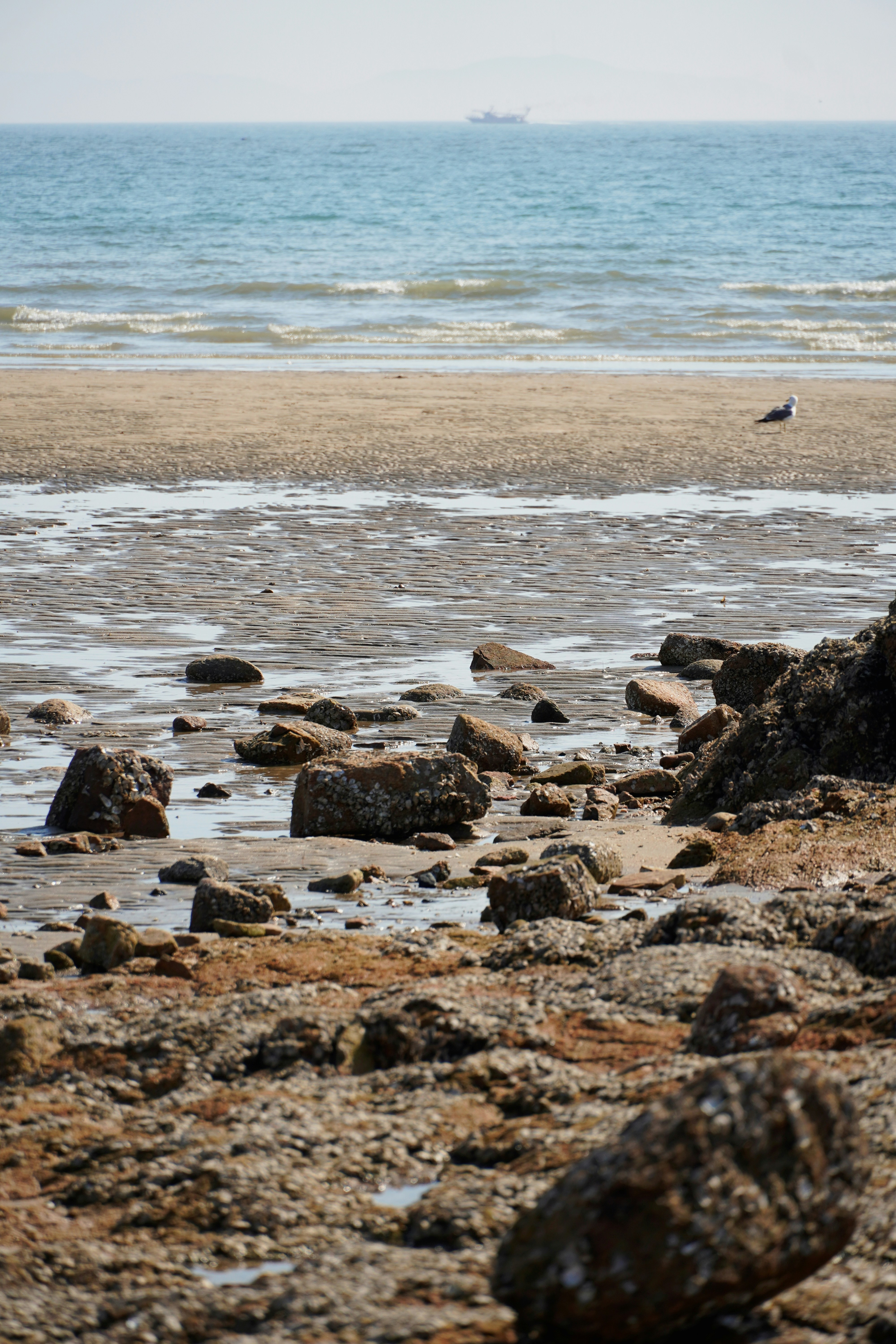 Photo by lifeinkorea