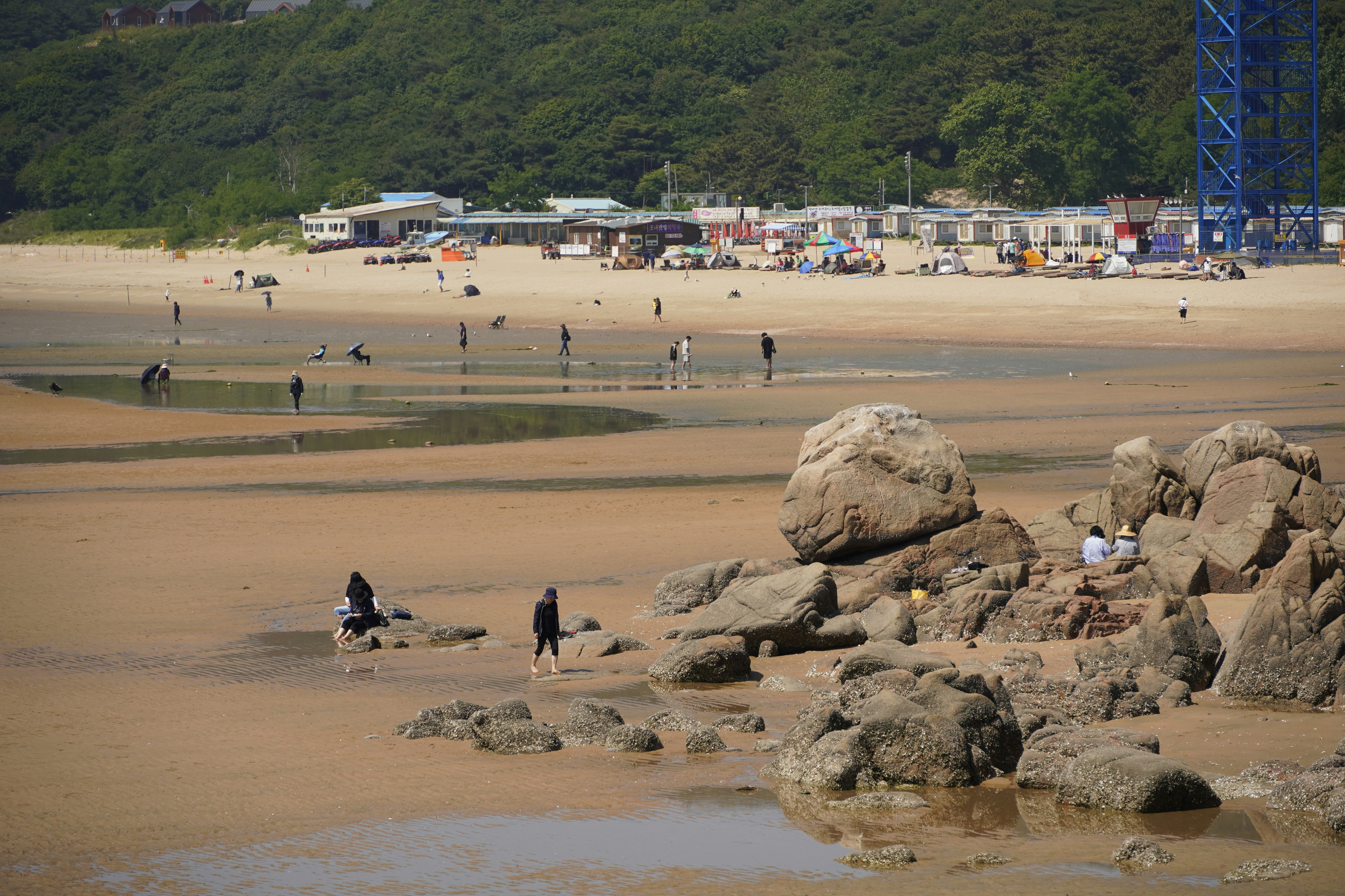 A group of people standing on top of a sandy beach