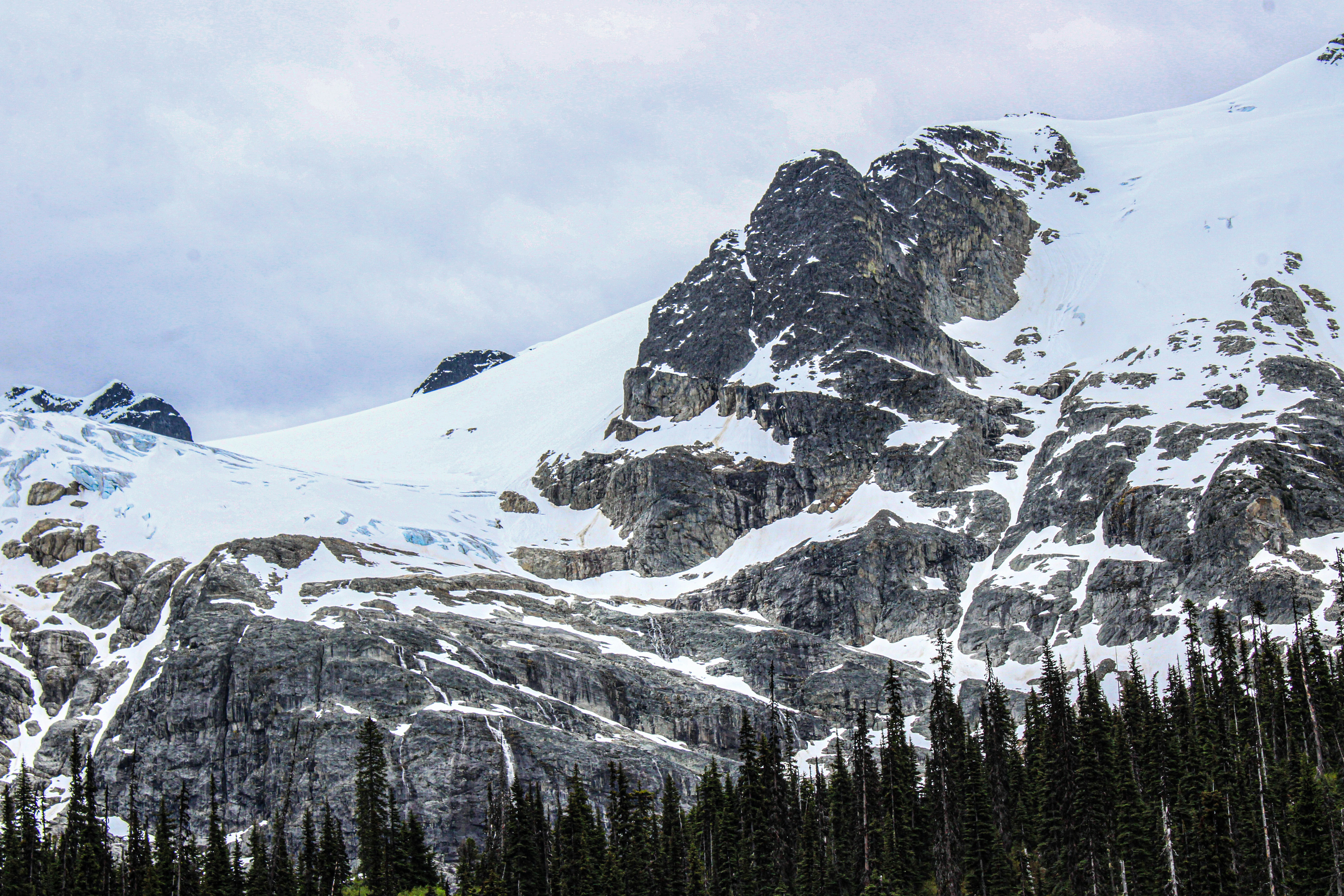 Photo by prphotography262