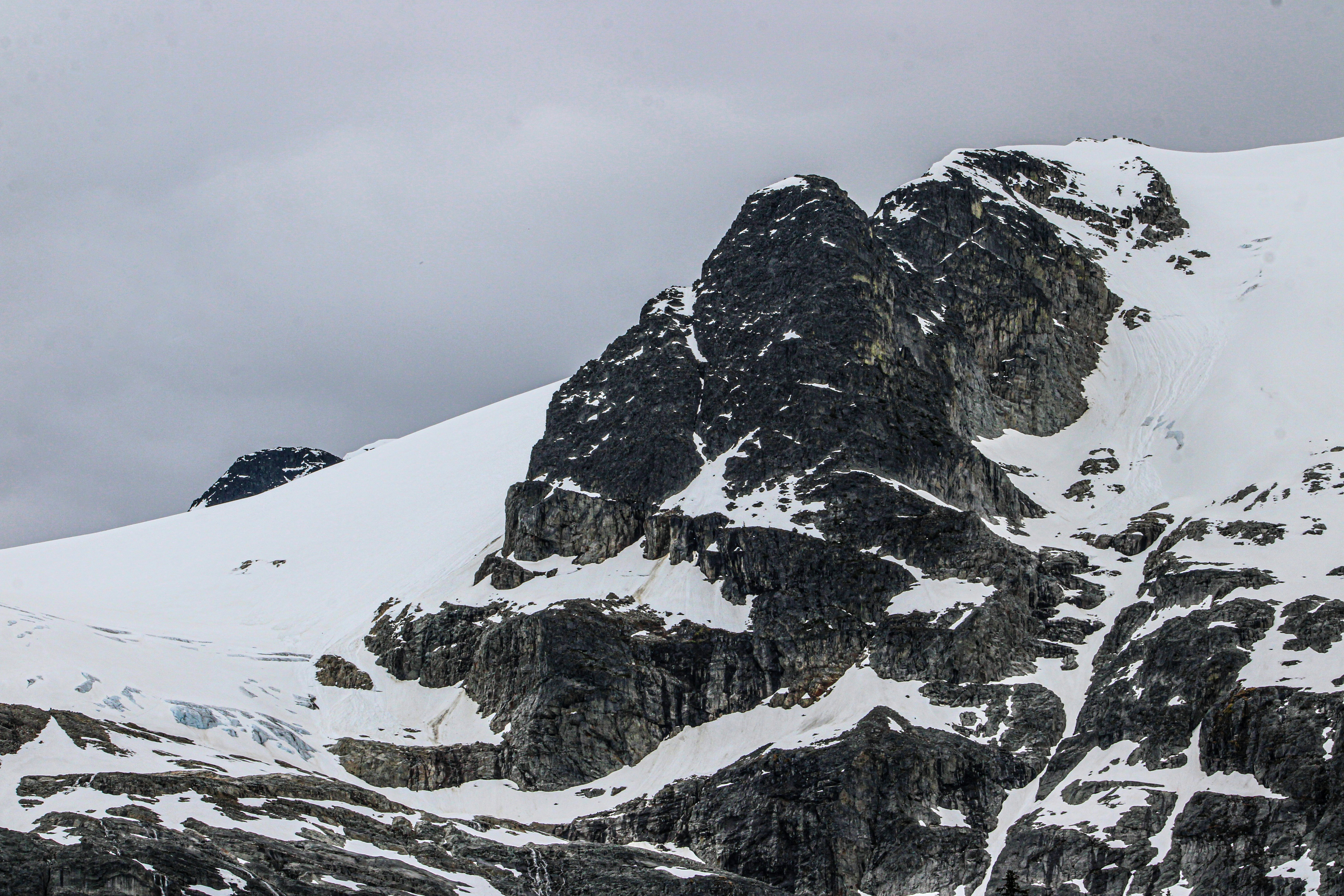 A snow covered mountain with a bird flying over it