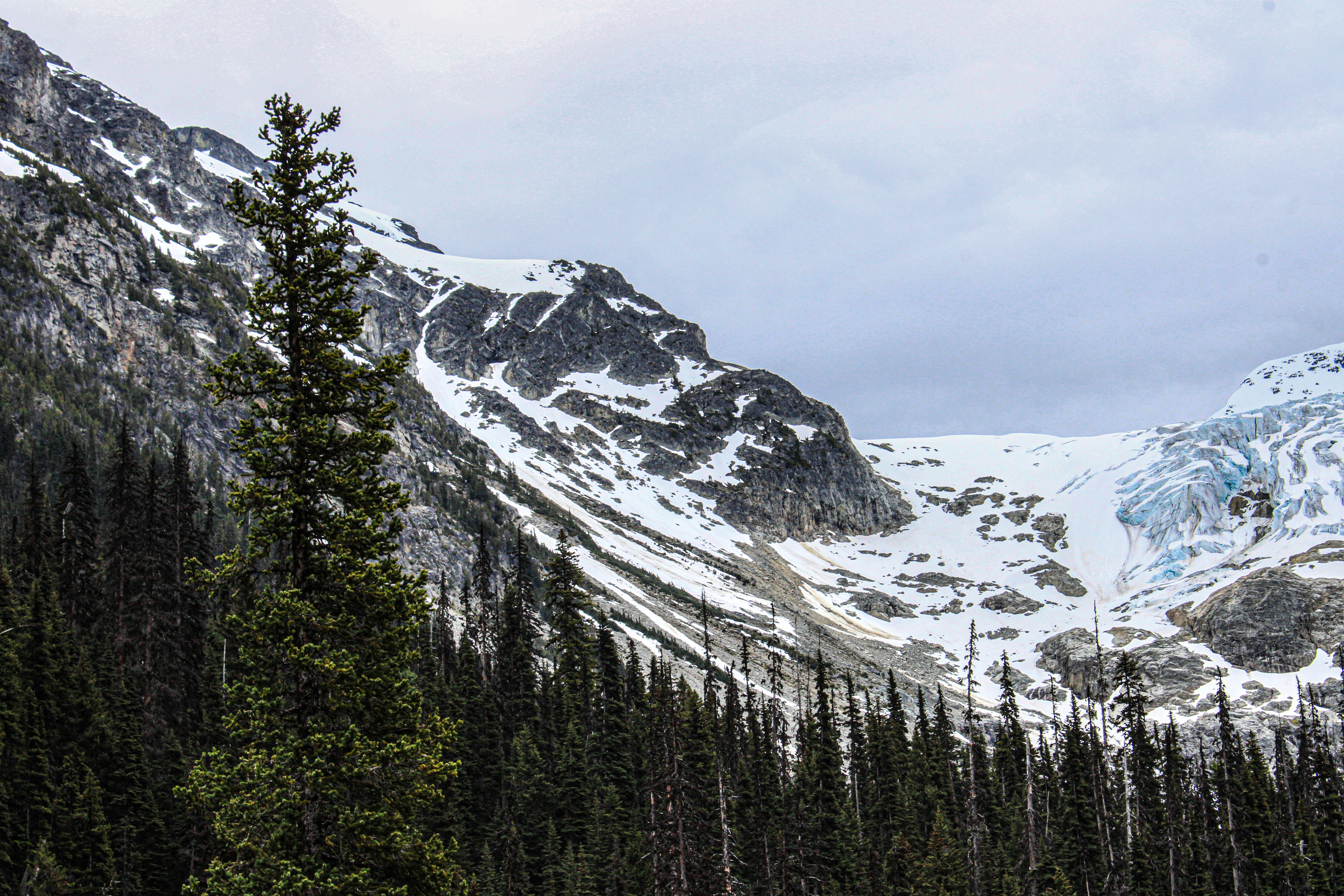 Photo by prphotography262