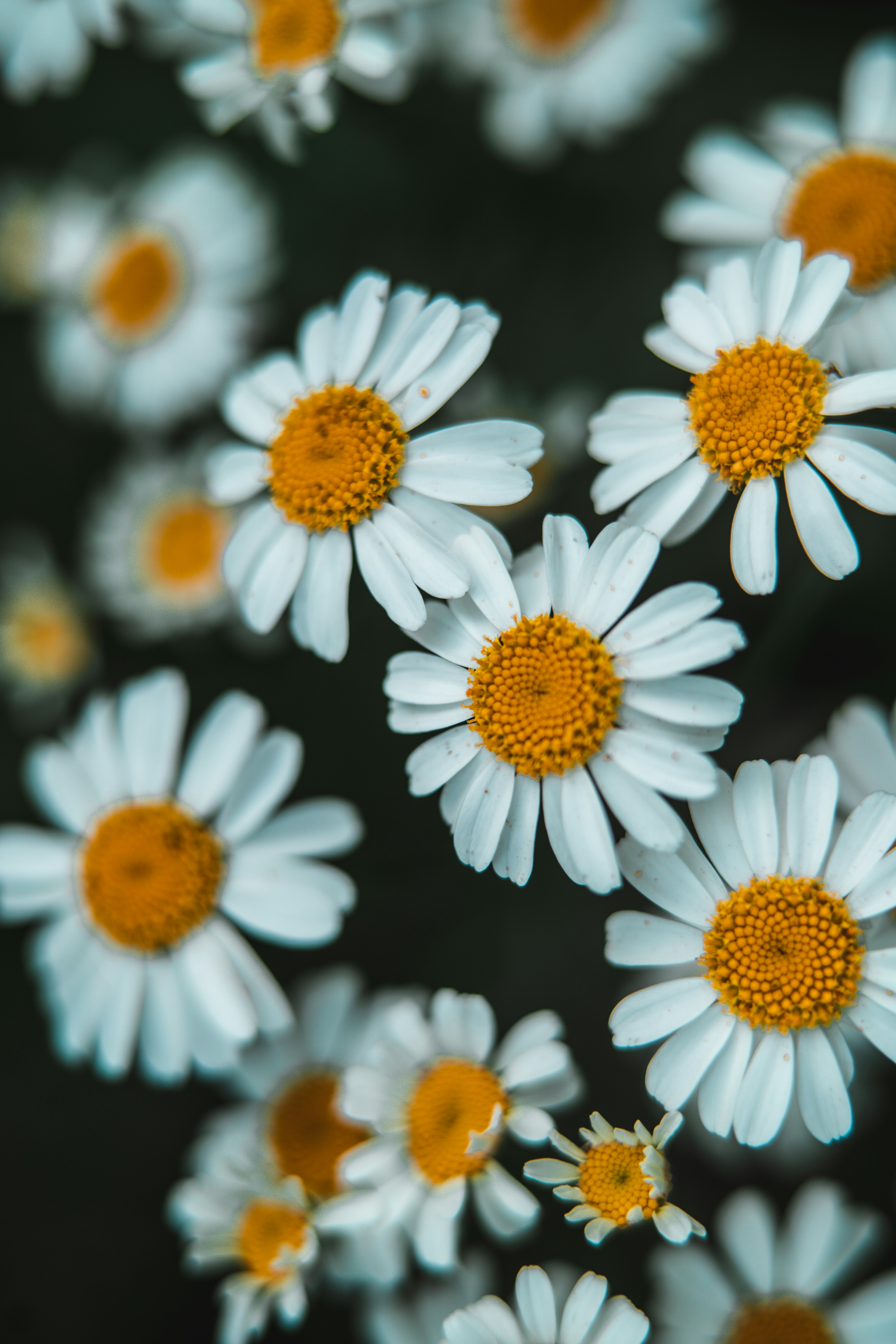 Photo by anamnesis33