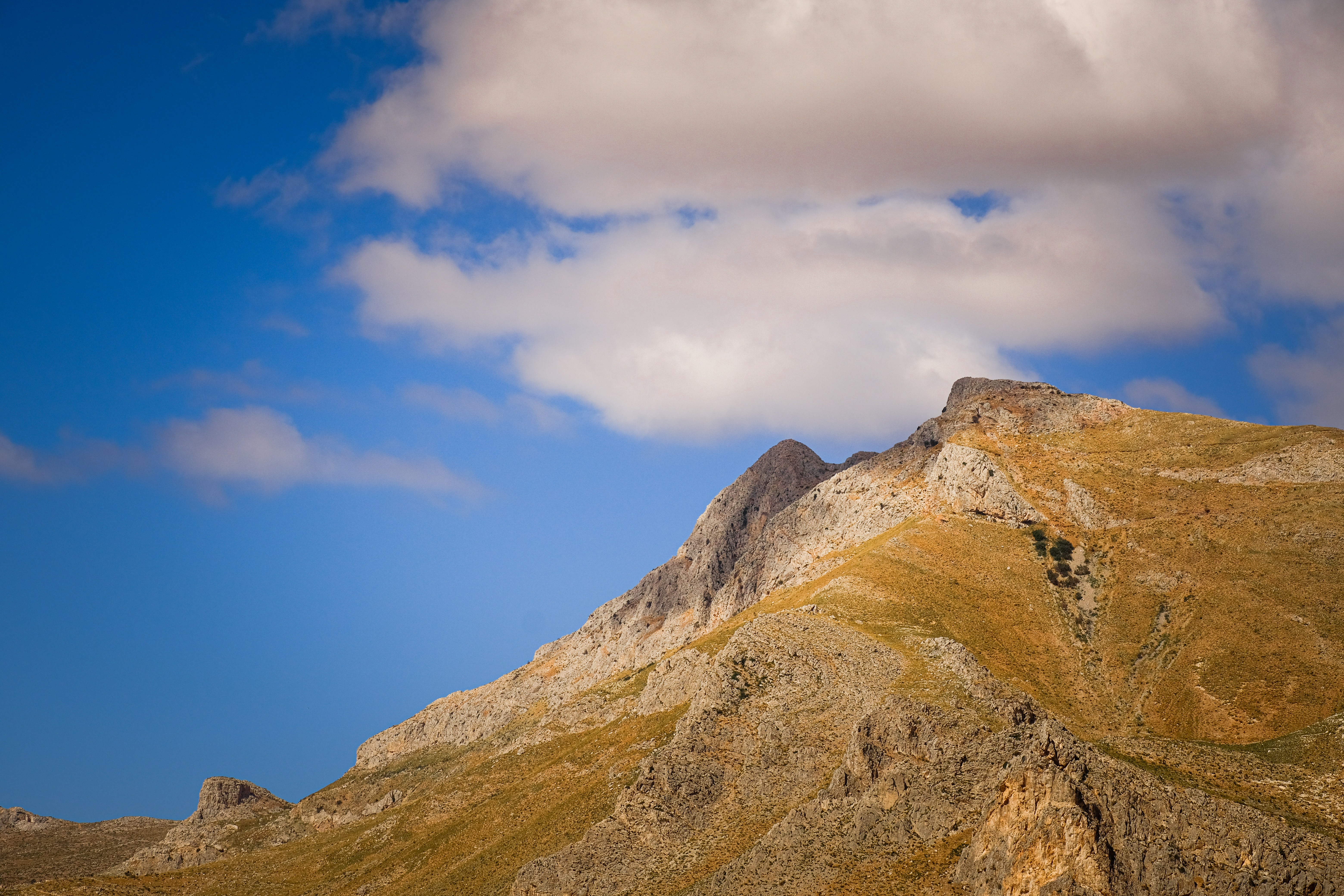 Photo by francesco_ungaro