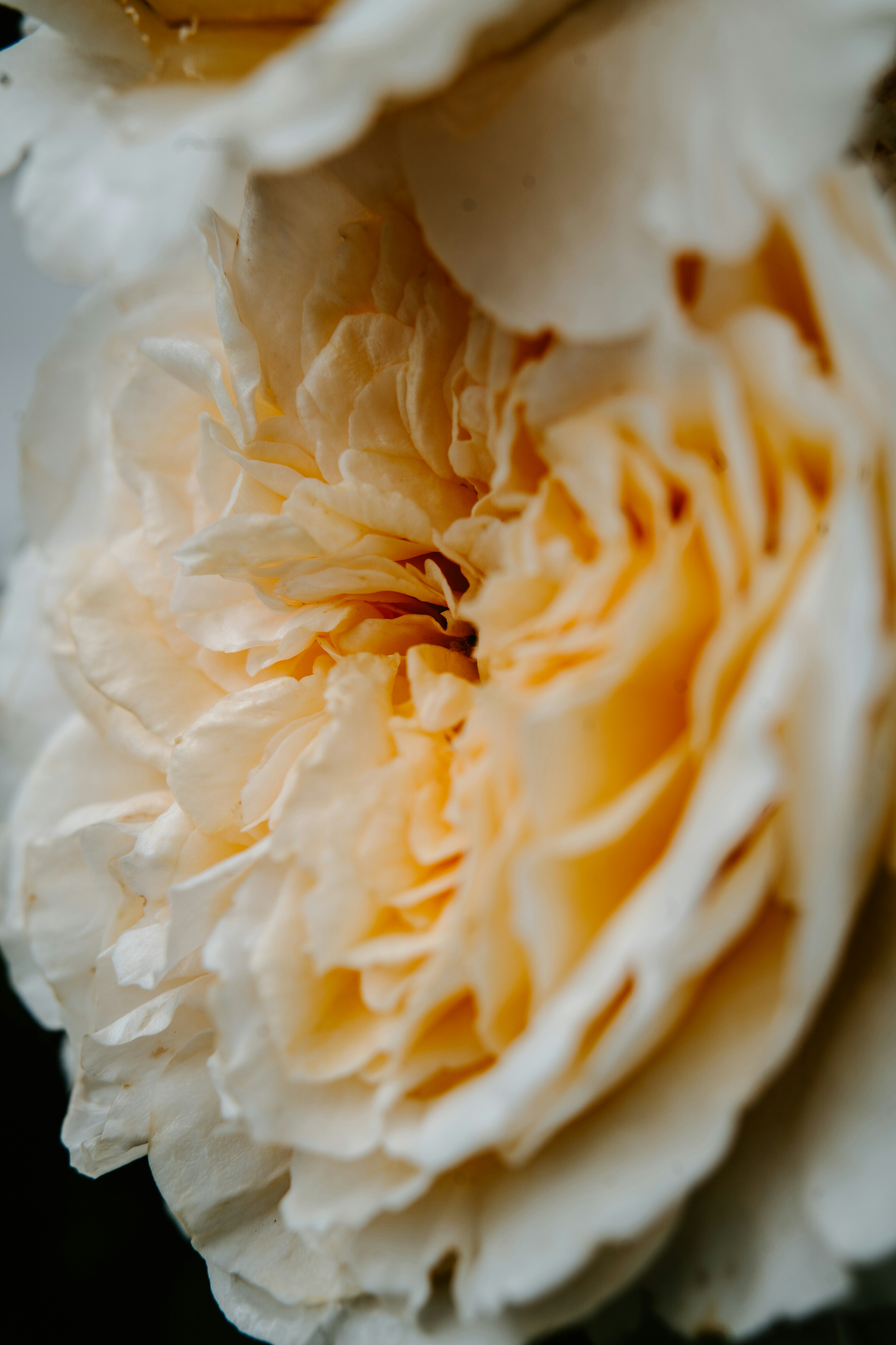 Photo by anamnesis33