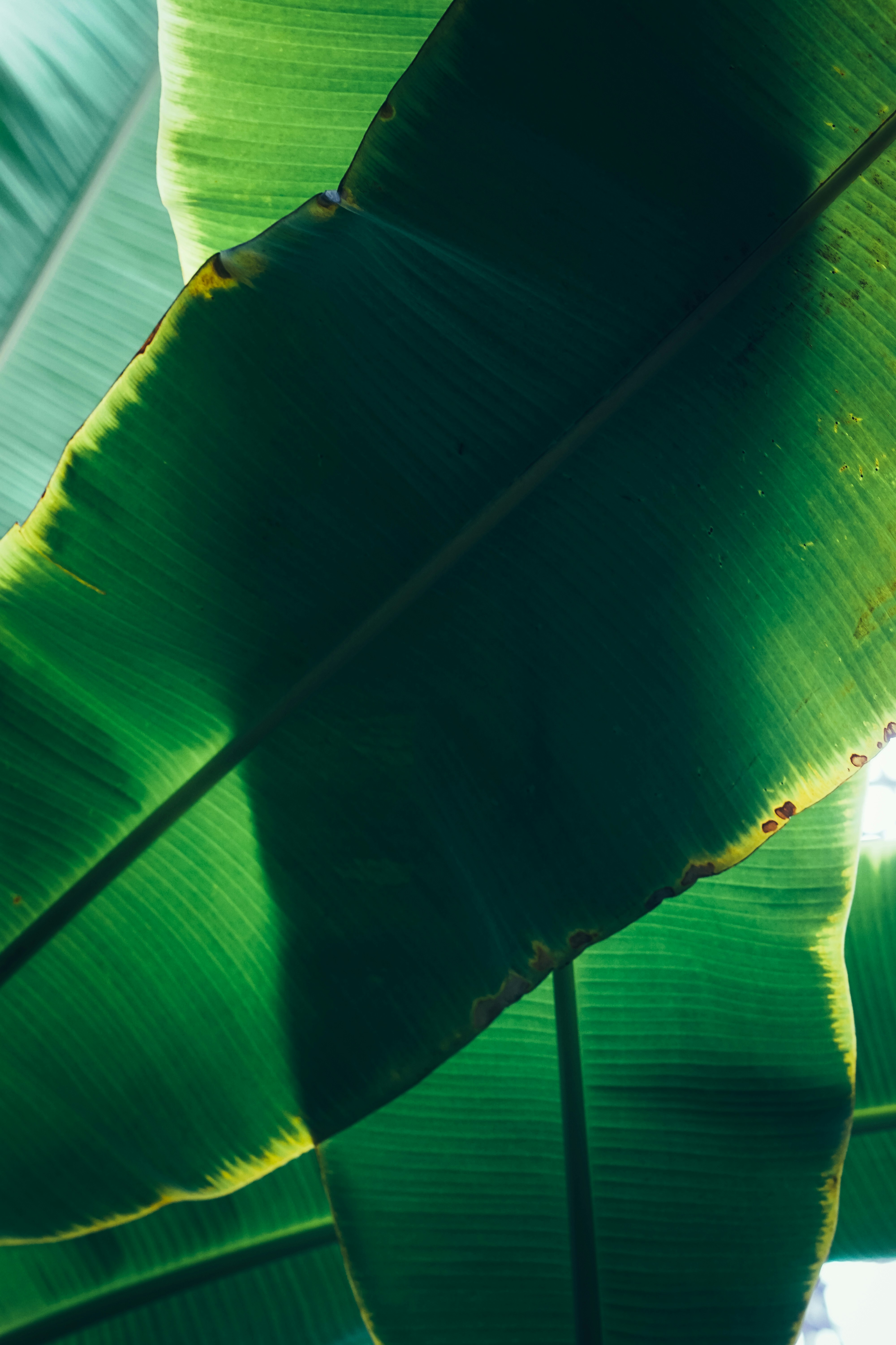 Photo by diadesigner