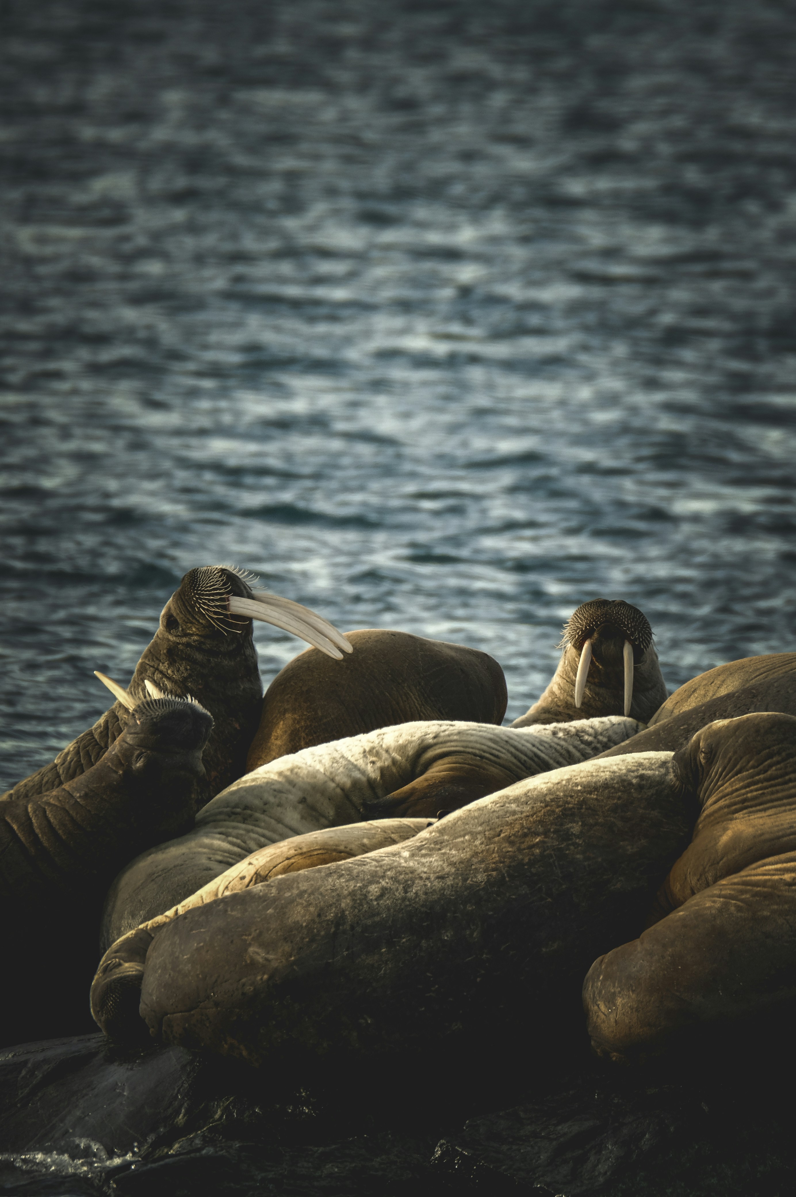 Photo by francesco_ungaro