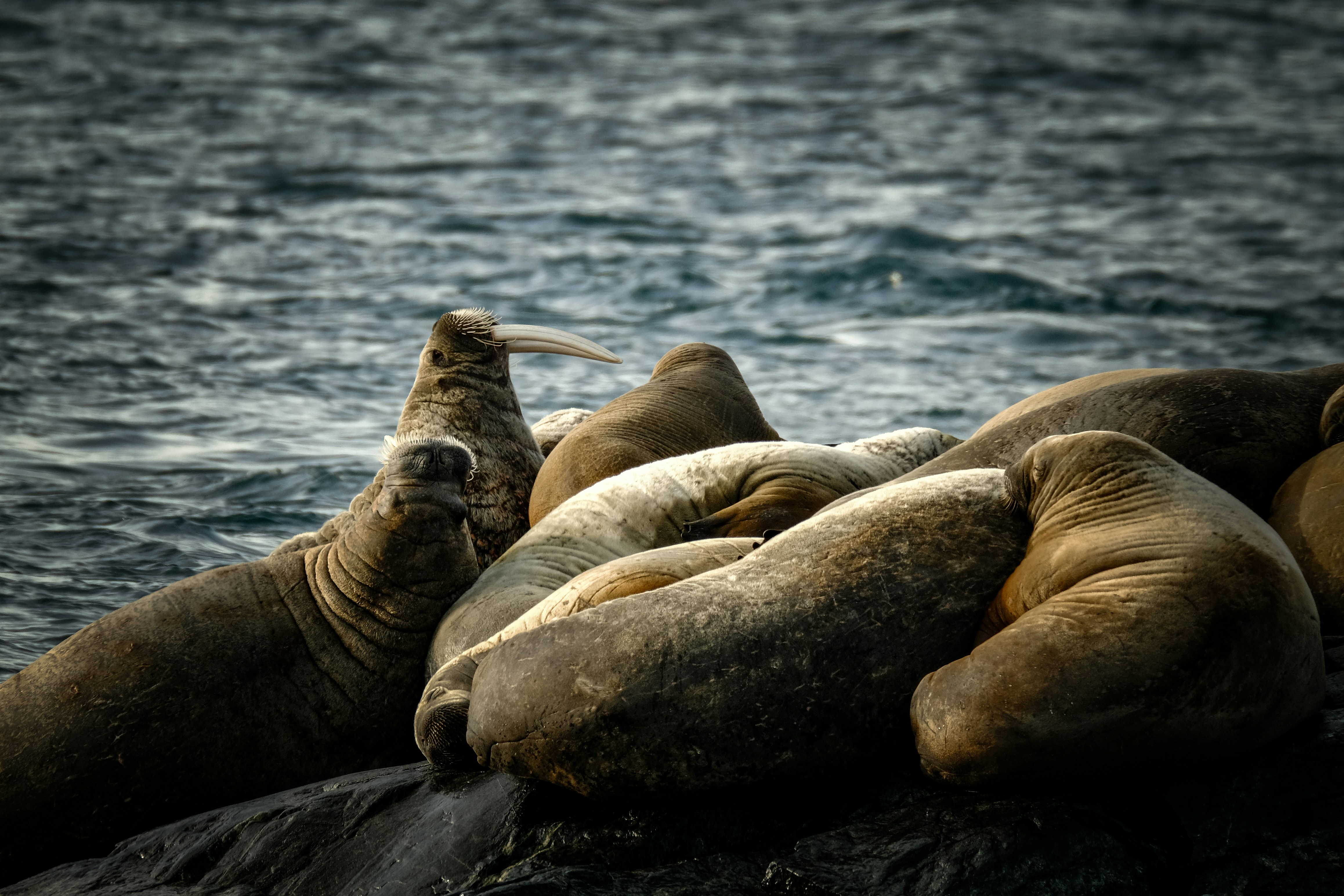 Photo by francesco_ungaro