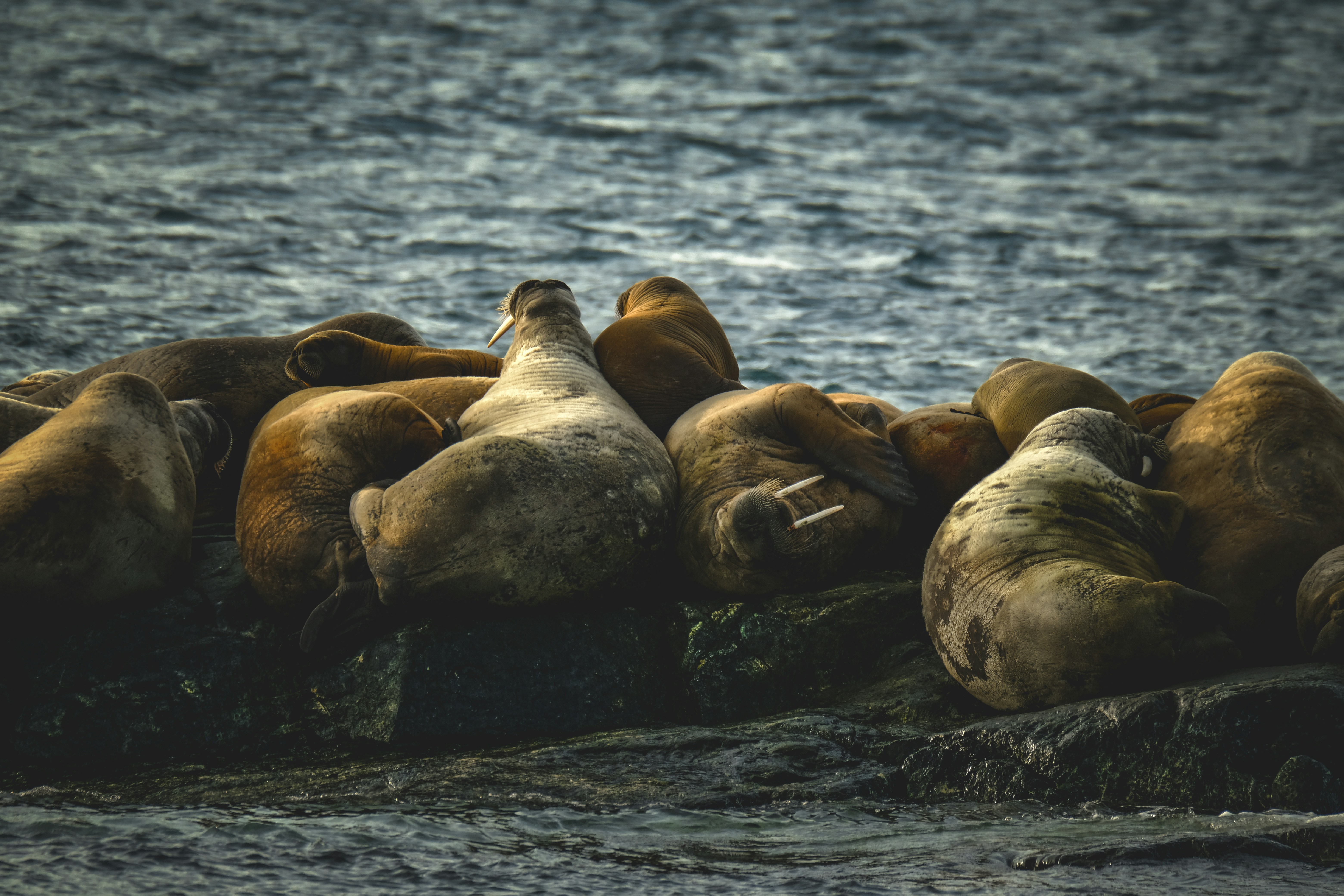 Photo by francesco_ungaro