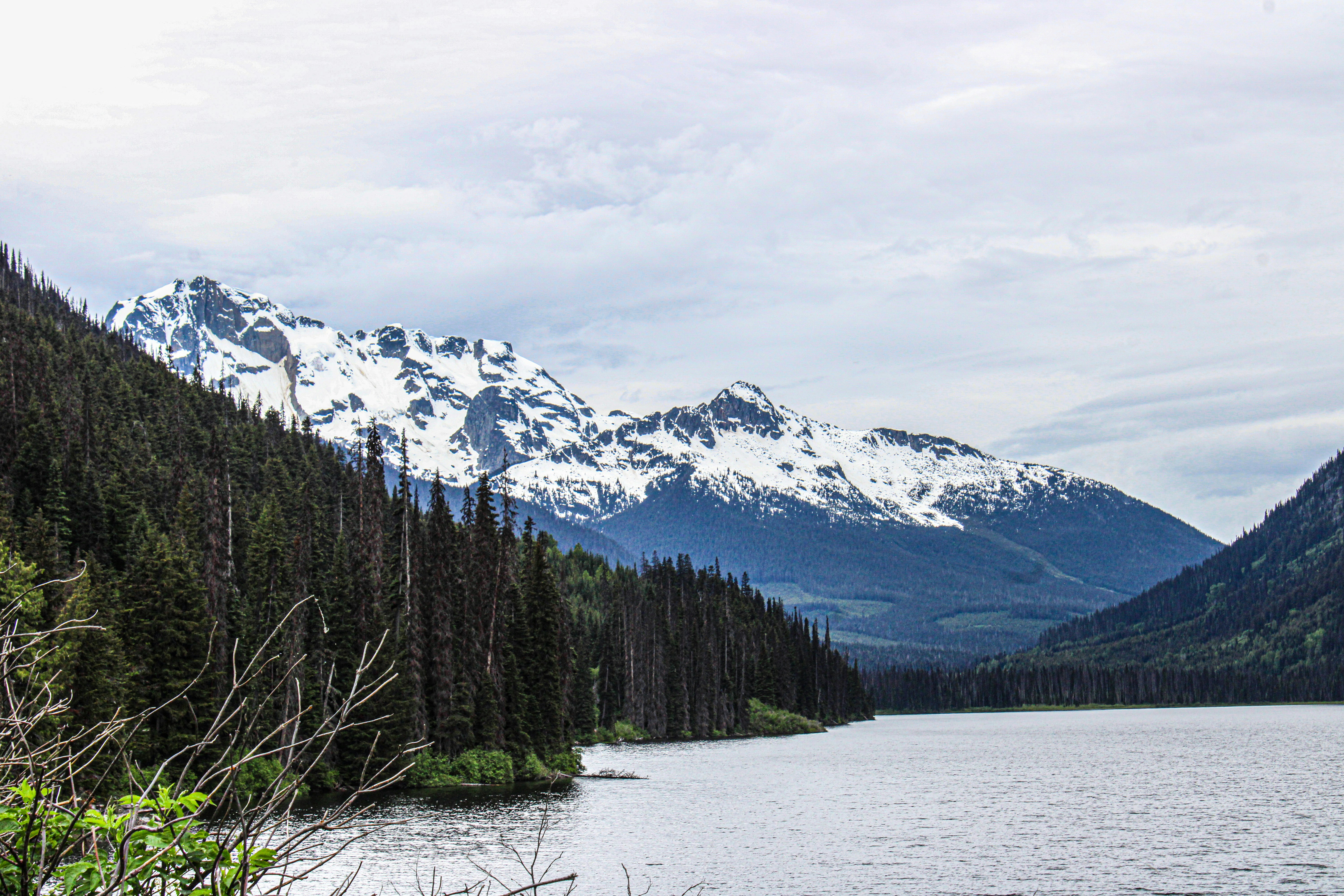 Photo by prphotography262