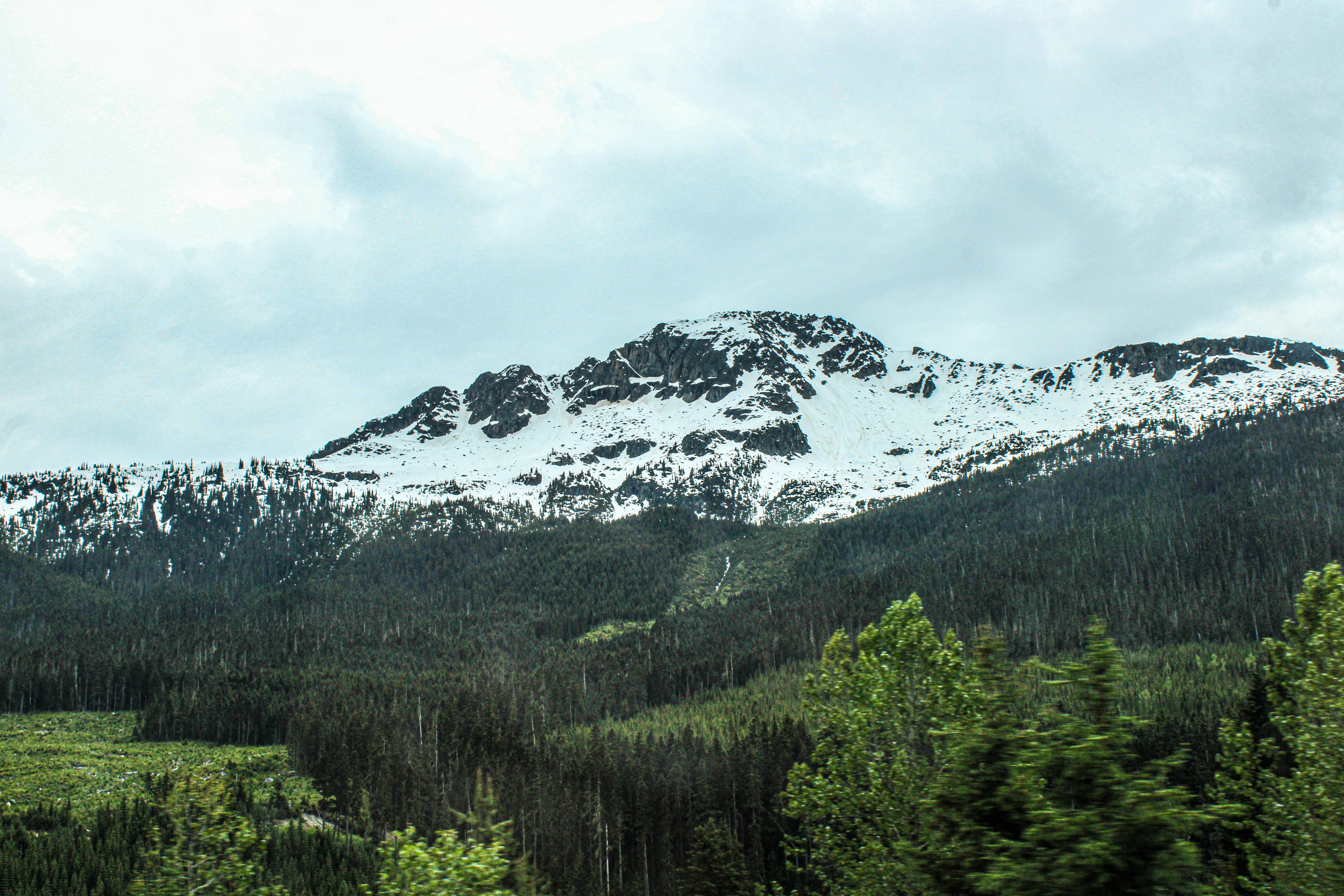 Photo by prphotography262