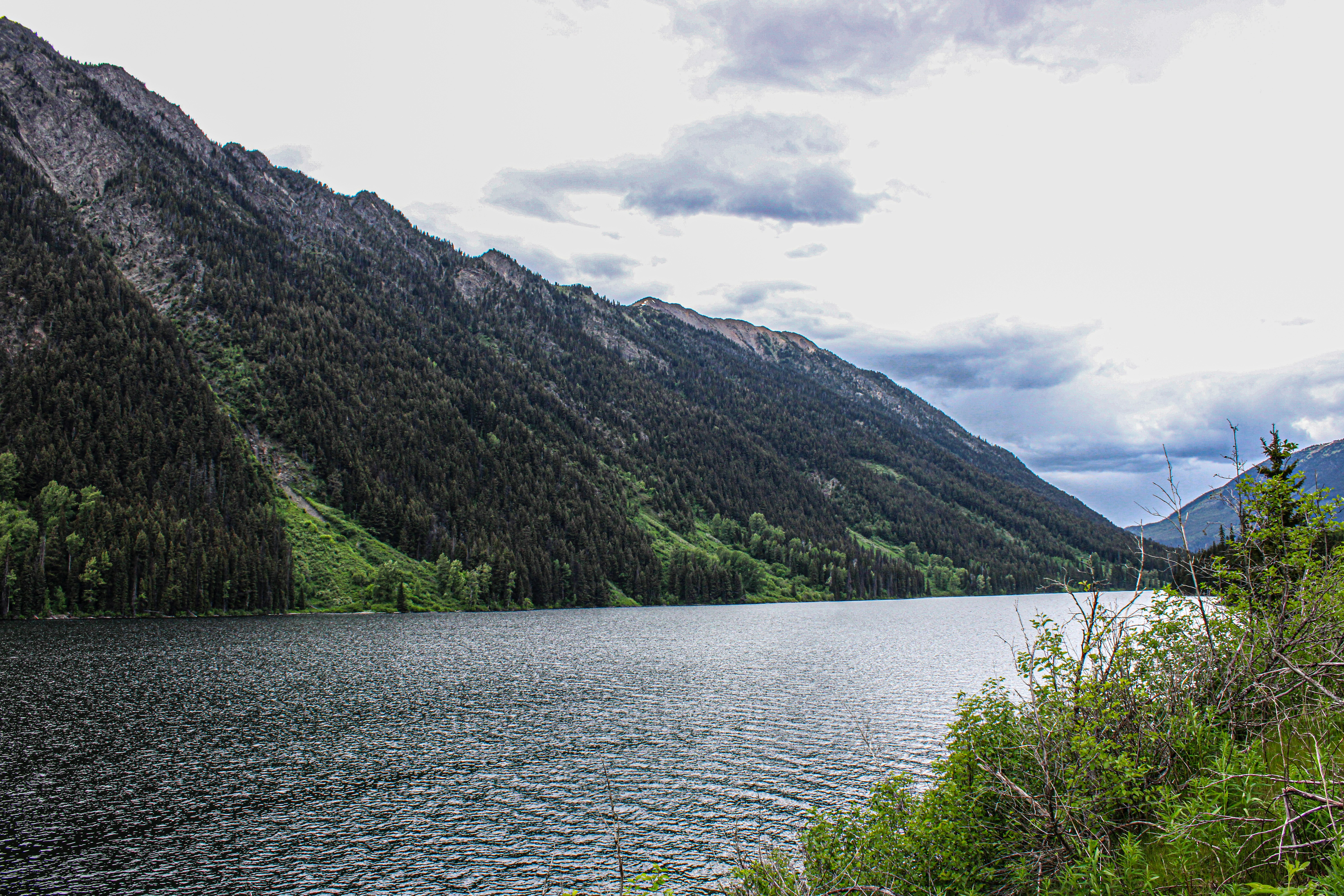 Photo by prphotography262