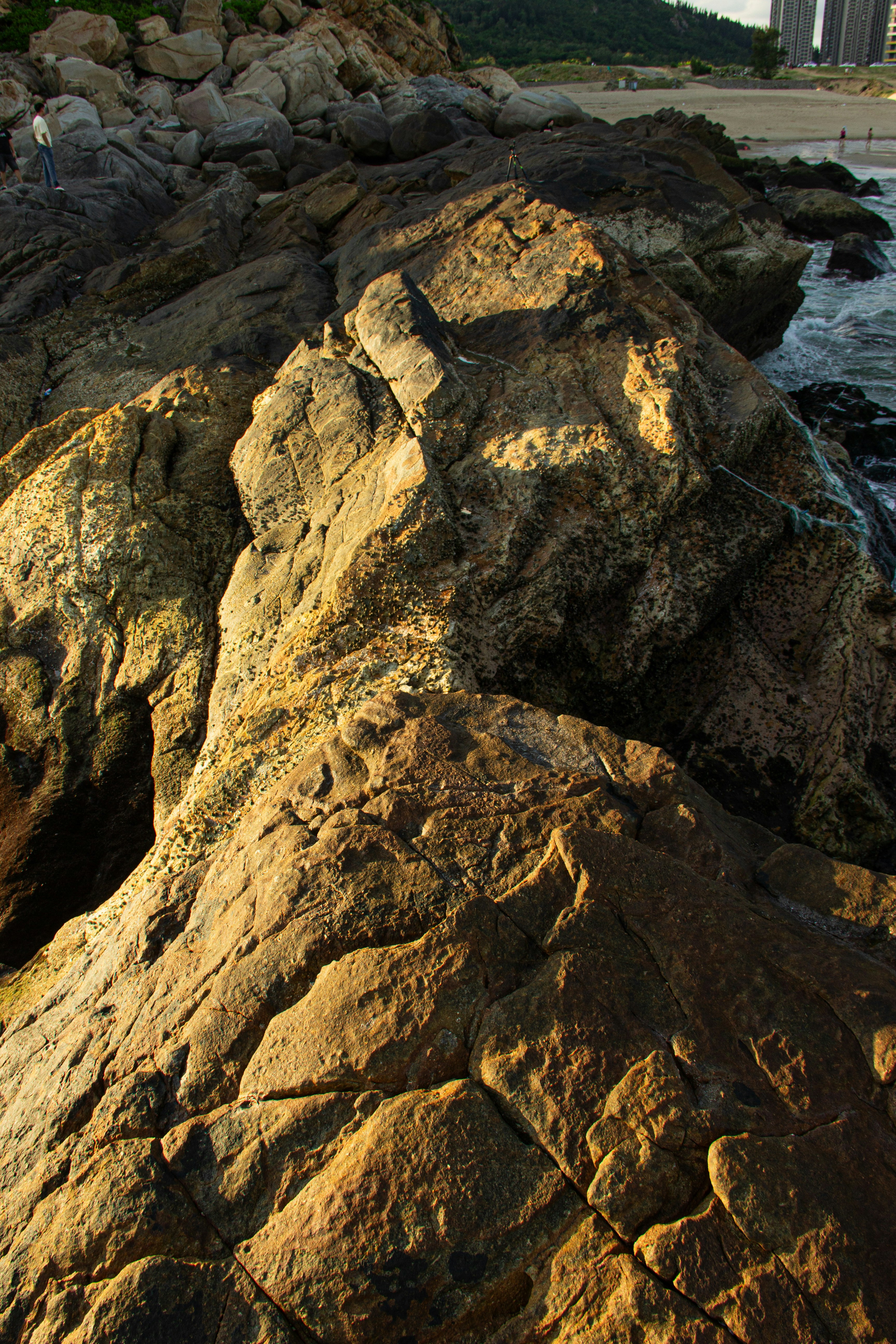 Photo by zollyphotograph