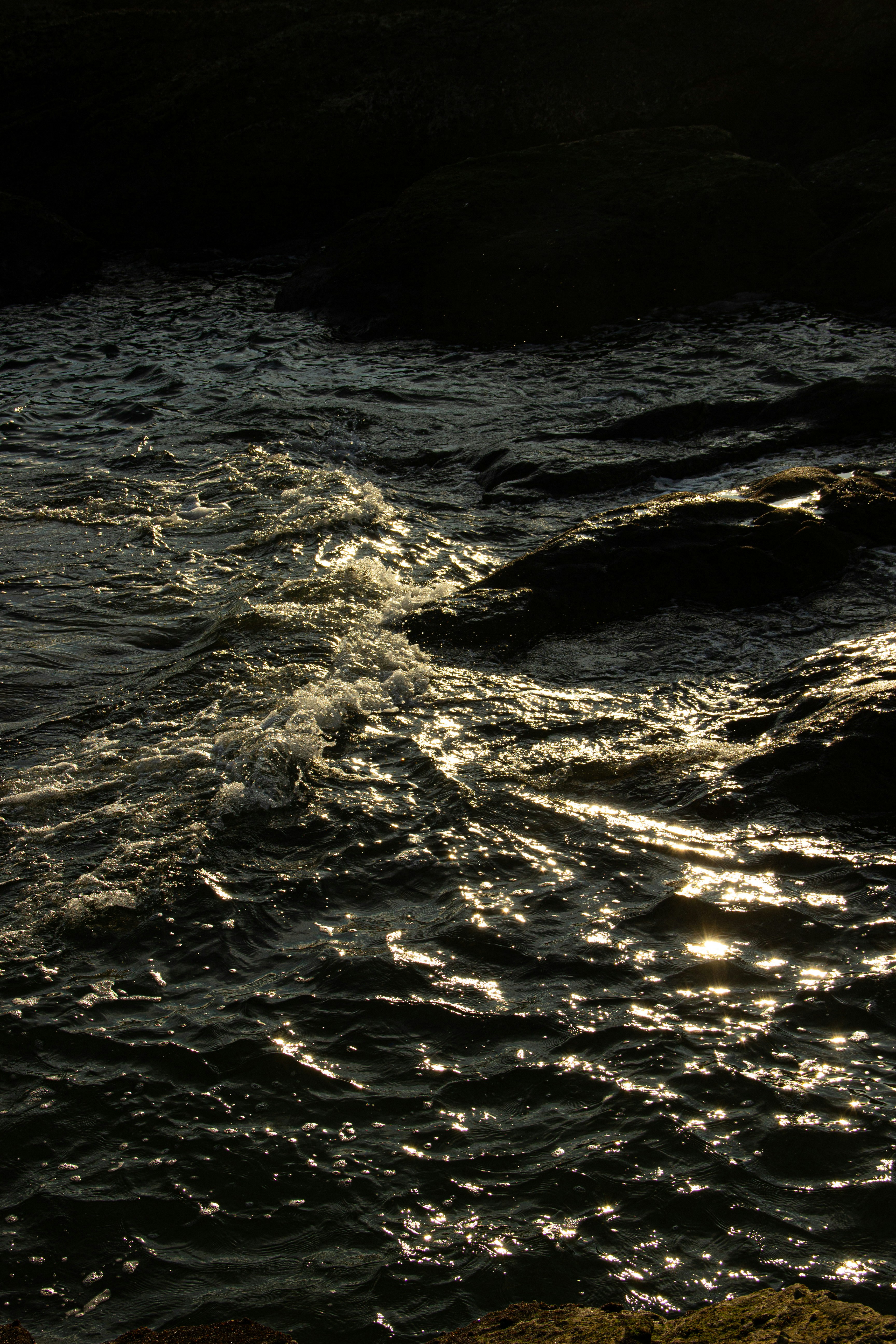 Photo by zollyphotograph