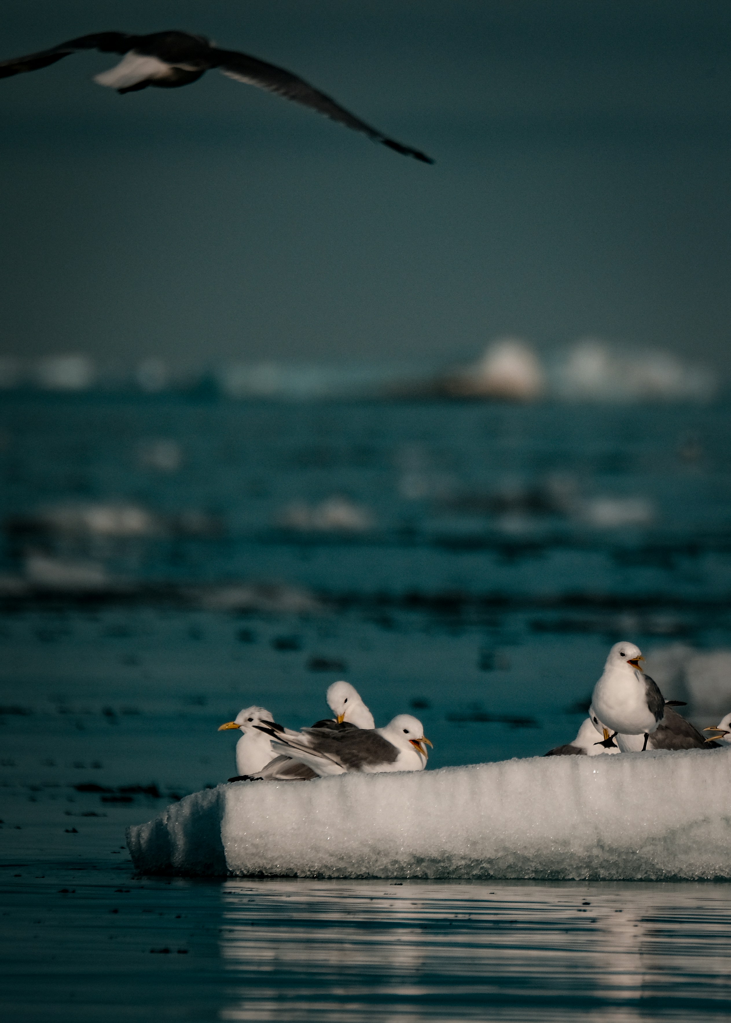 Photo by francesco_ungaro