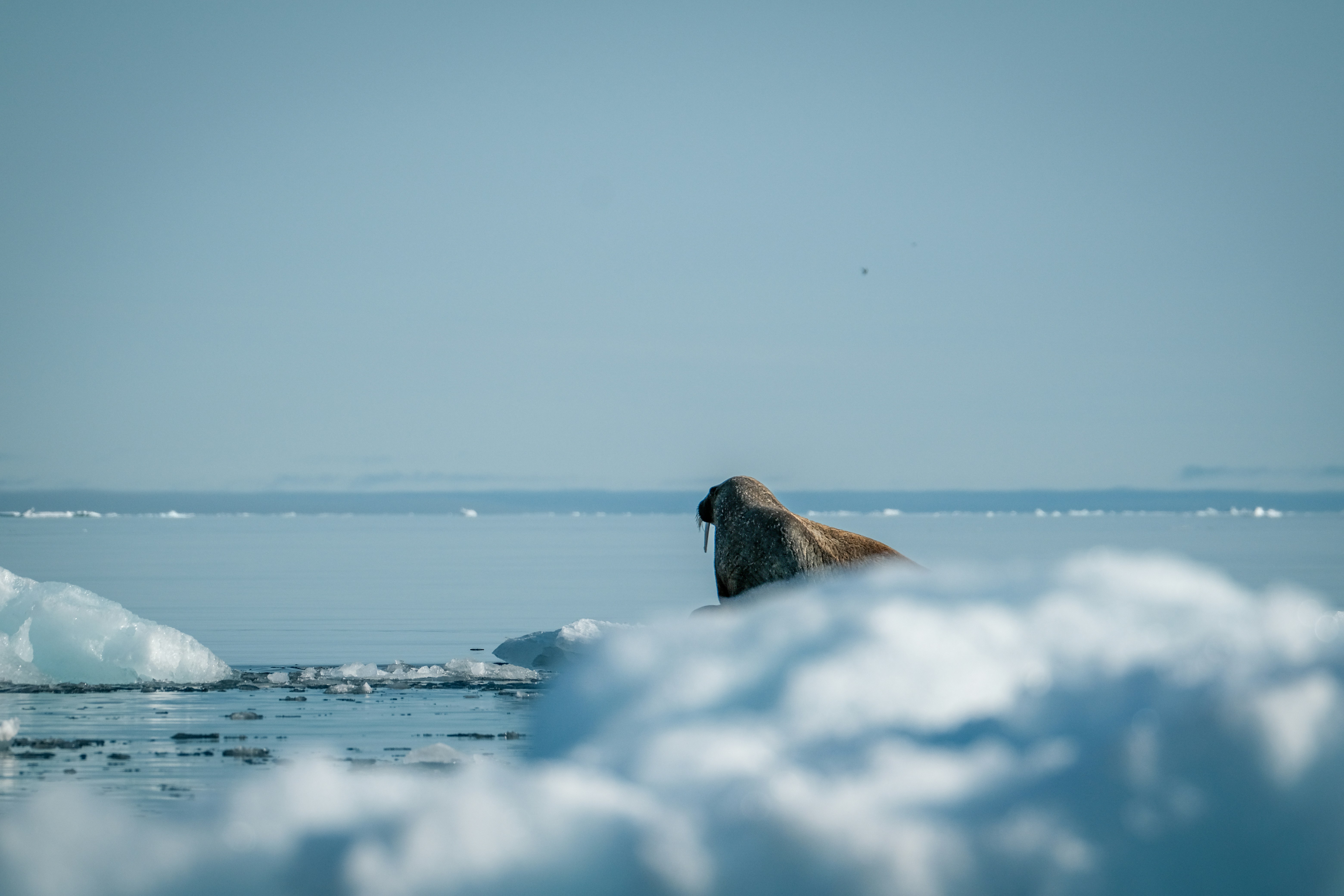 Photo by francesco_ungaro