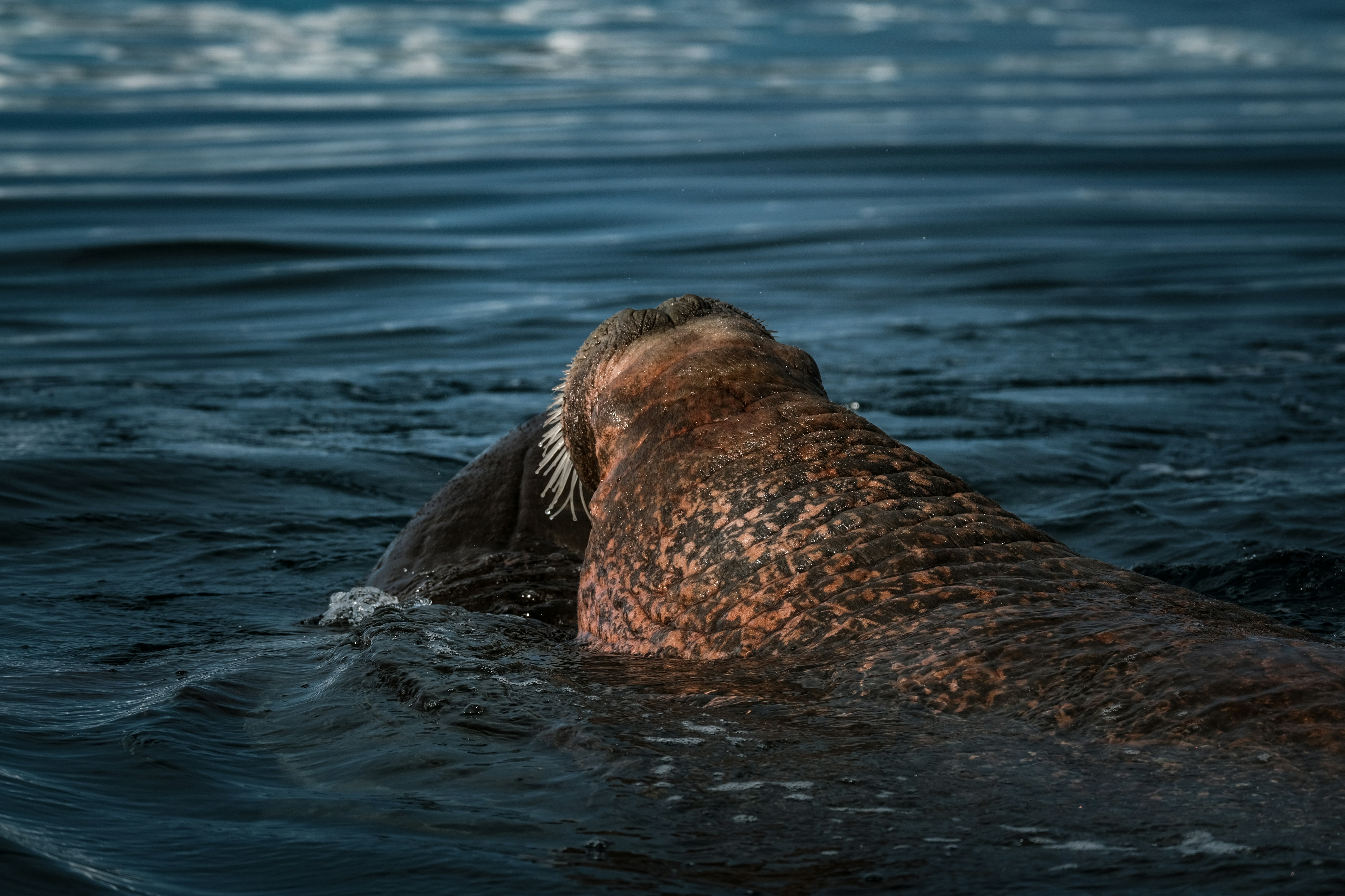 Photo by francesco_ungaro