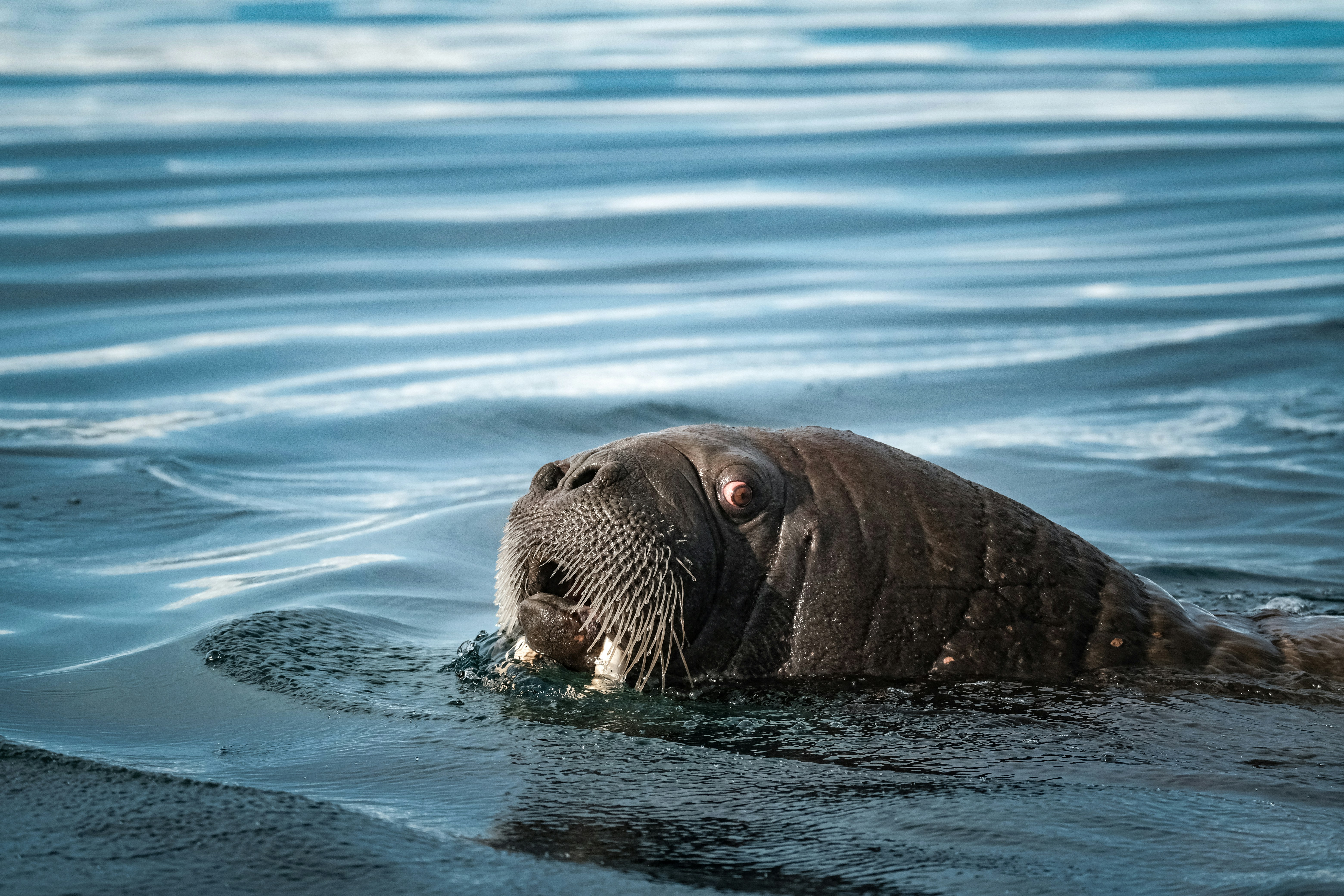 Photo by francesco_ungaro