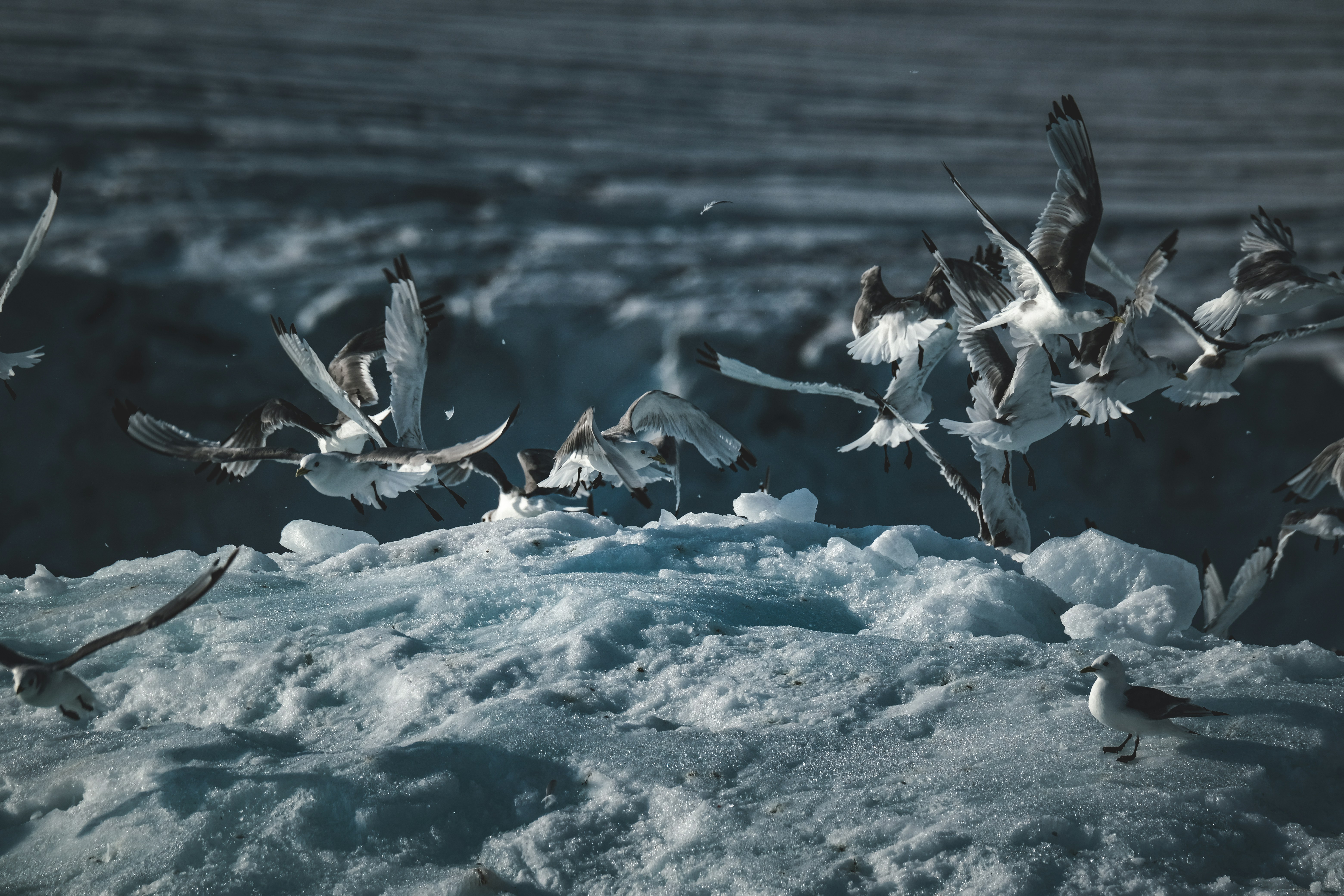 Photo by francesco_ungaro