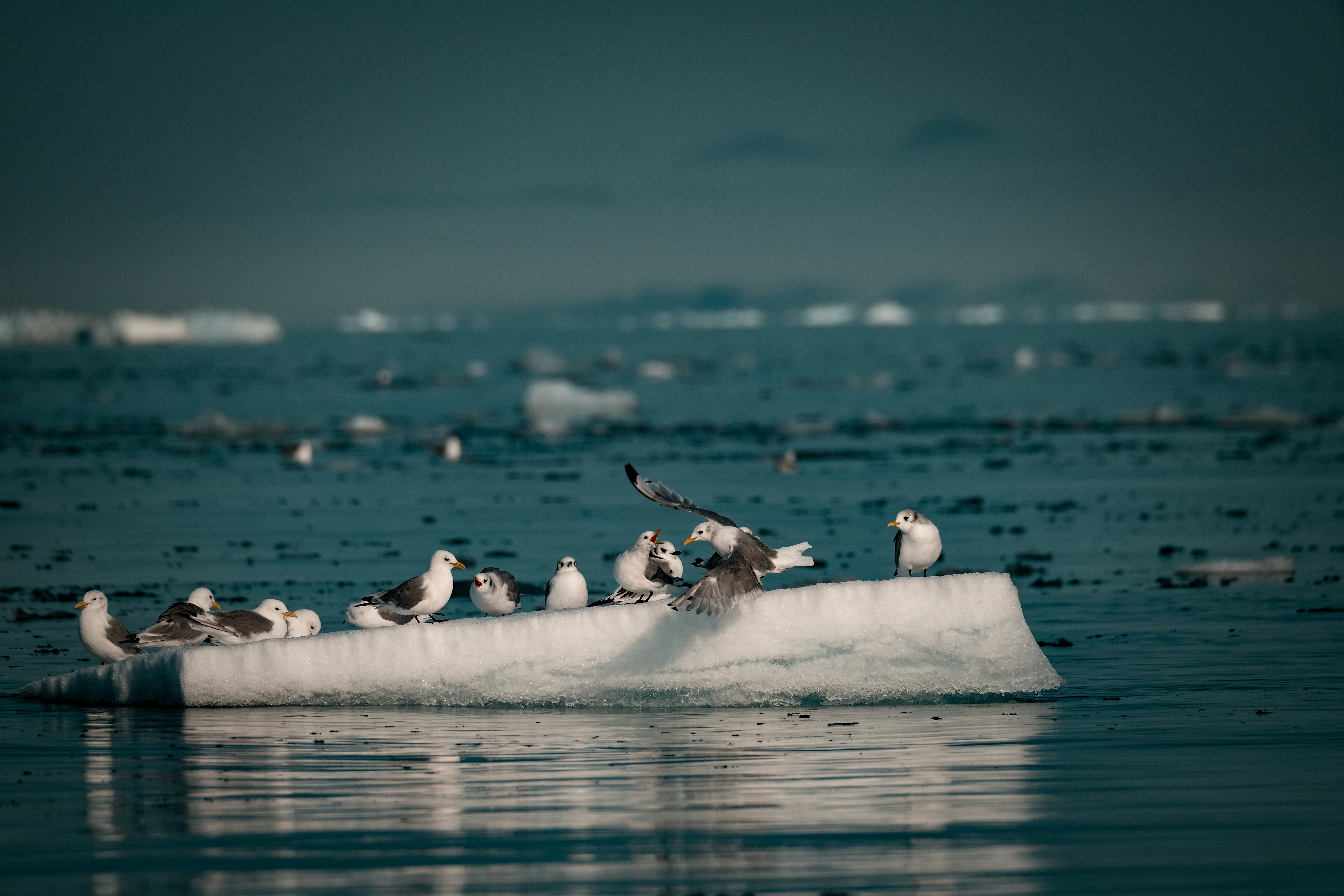 Photo by francesco_ungaro